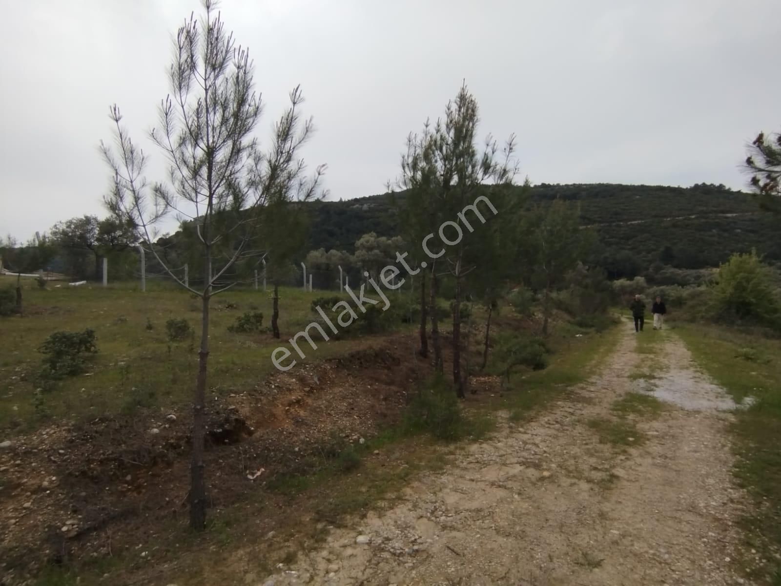 Acil Buca Kırıklar Cezaevi Yakını 2 Dönüm Tek Tapulu Tarla - Görsel 4