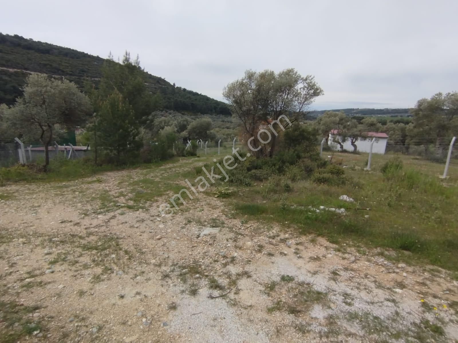 Acil Buca Kırıklar Cezaevi Yakını 2 Dönüm Tek Tapulu Tarla - Görsel 10