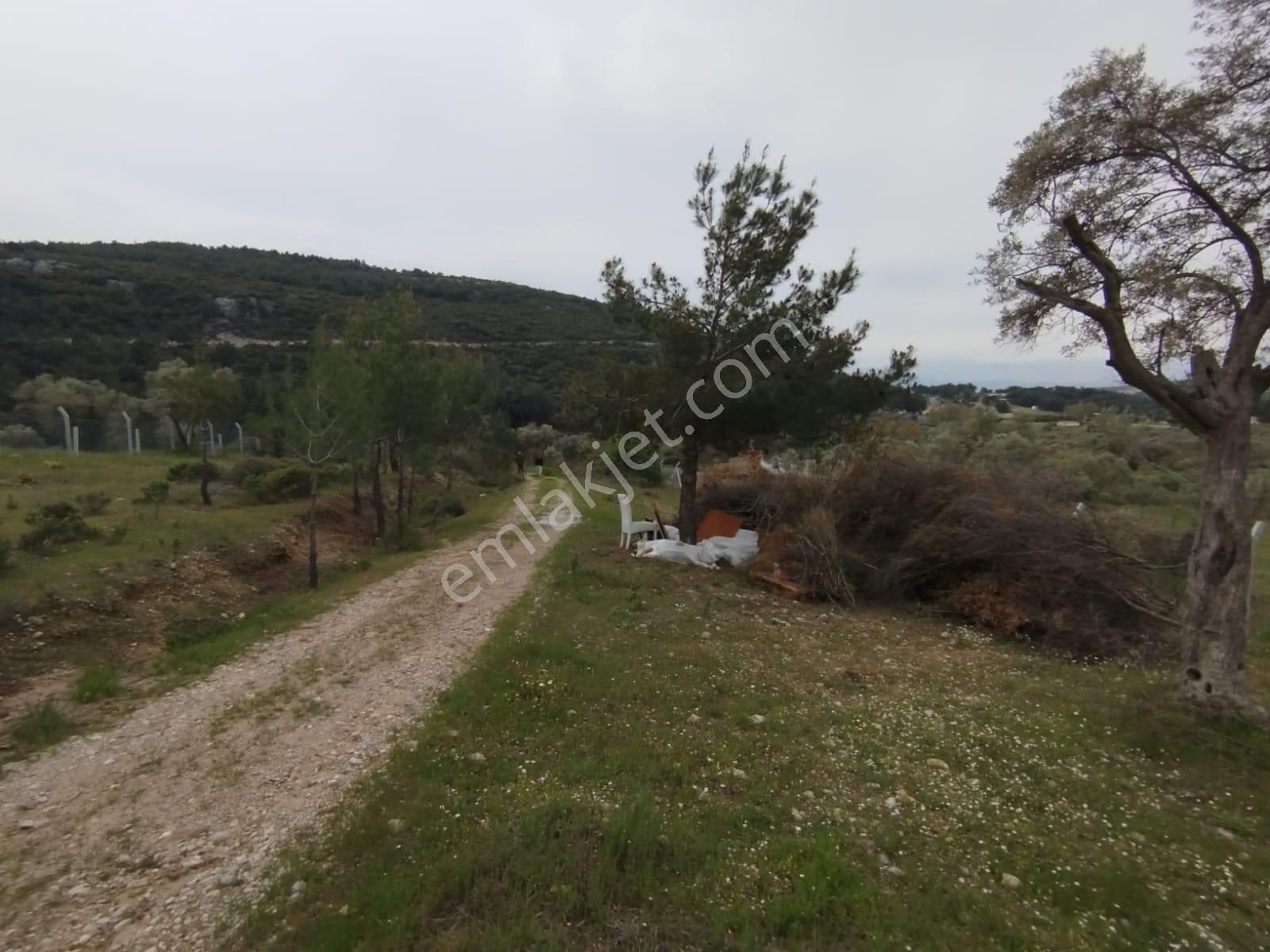 Acil Buca Kırıklar Cezaevi Yakını 2 Dönüm Tek Tapulu Tarla - Görsel 2