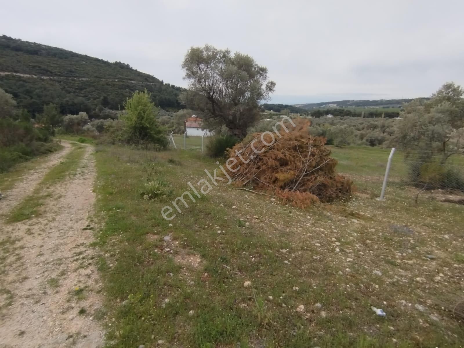 Acil Buca Kırıklar Cezaevi Yakını 2 Dönüm Tek Tapulu Tarla - Görsel 9