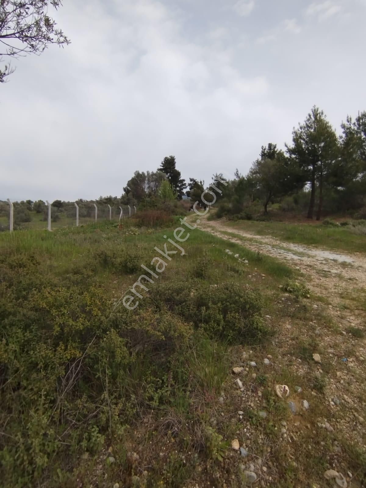 Acil Buca Kırıklar Cezaevi Yakını 2 Dönüm Tek Tapulu Tarla