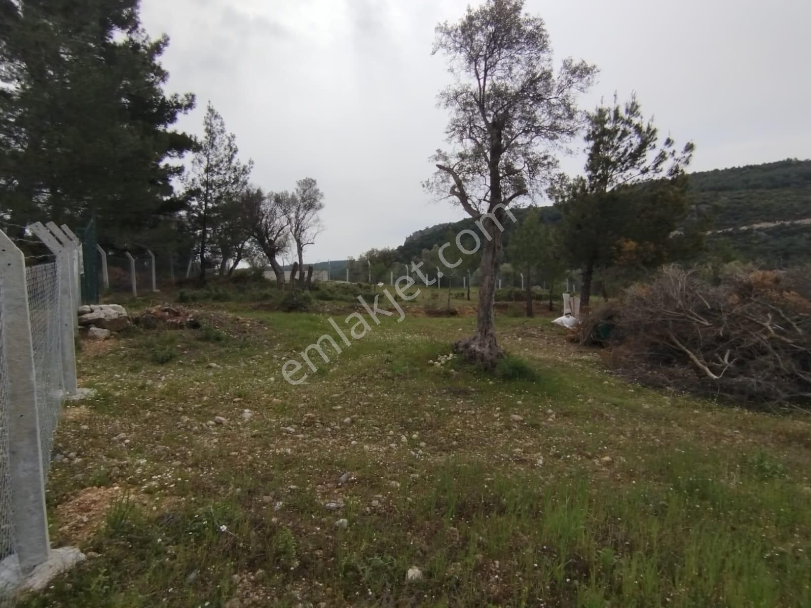 Acil Buca Kırıklar Cezaevi Yakını 2 Dönüm Tek Tapulu Tarla - Görsel 3