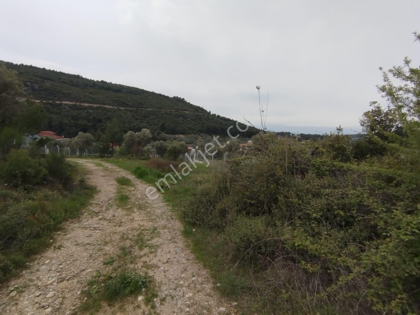 Acil Buca Kırıklar Cezaevi Yakını 2 Dönüm Tek Tapulu Tarla - Görsel 8