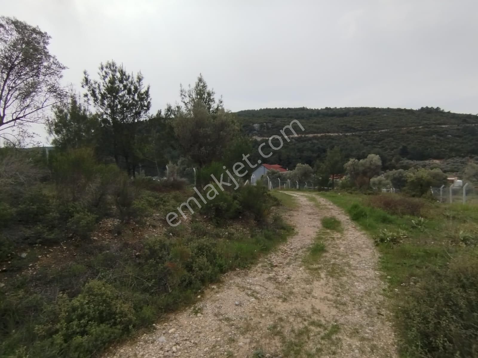 Acil Buca Kırıklar Cezaevi Yakını 2 Dönüm Tek Tapulu Tarla - Görsel 7