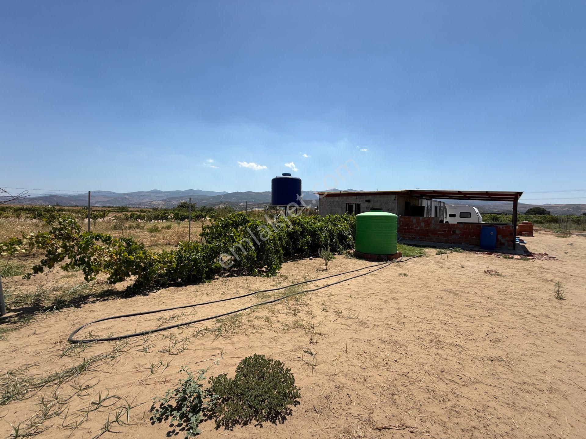 Solar Enerjili, Artezyenli, Tel Çevrili 2 Dönüm Satılık Bağ - İzmir/menemen/haykıran Köyü - Görsel 14
