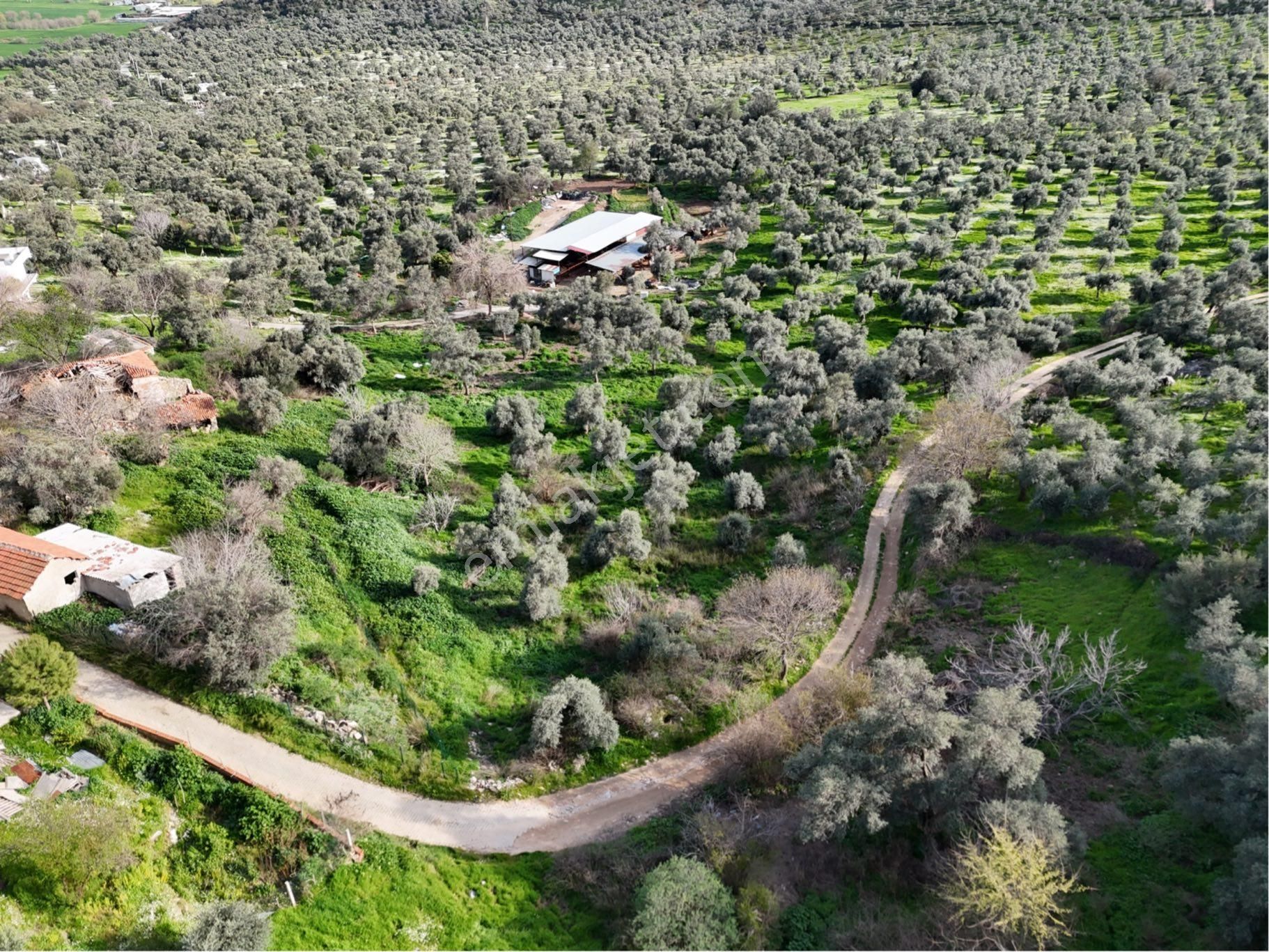 Milas Hisarcık'ta İmarlı Arsa 501m2 Pehlevanlar Gayrimenkul'den - Görsel 6
