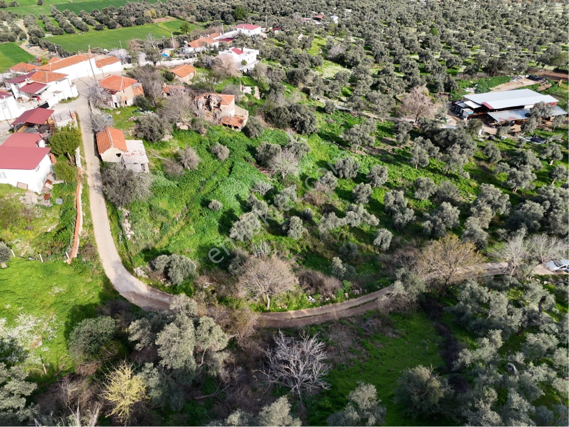 Milas Hisarcık'ta İmarlı Arsa 501m2 Pehlevanlar Gayrimenkul'den - Görsel 7