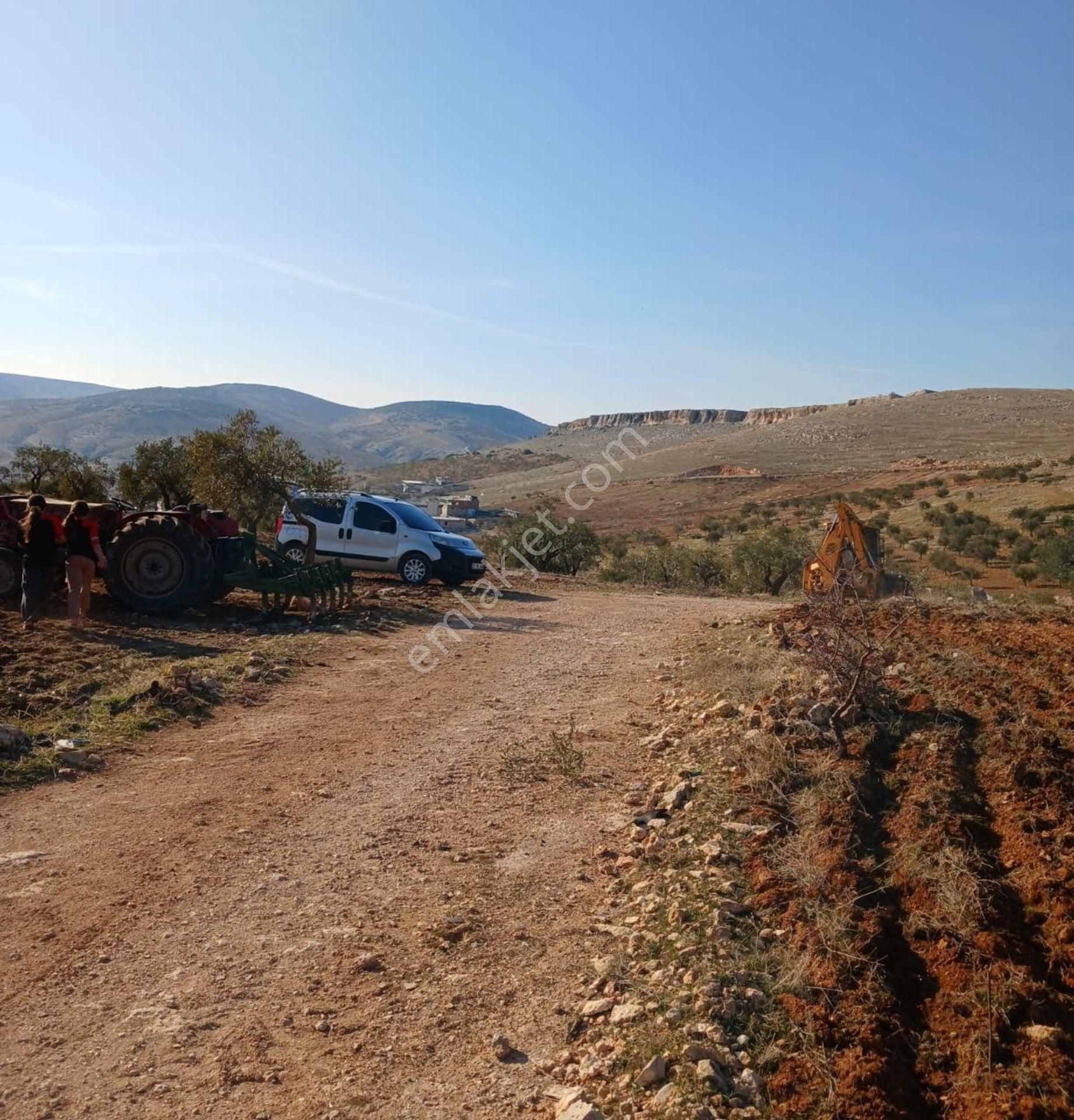 Nizip Çanakçı Da 4,250 M2 Tek Tapu Yatırımlık Zeytinlik