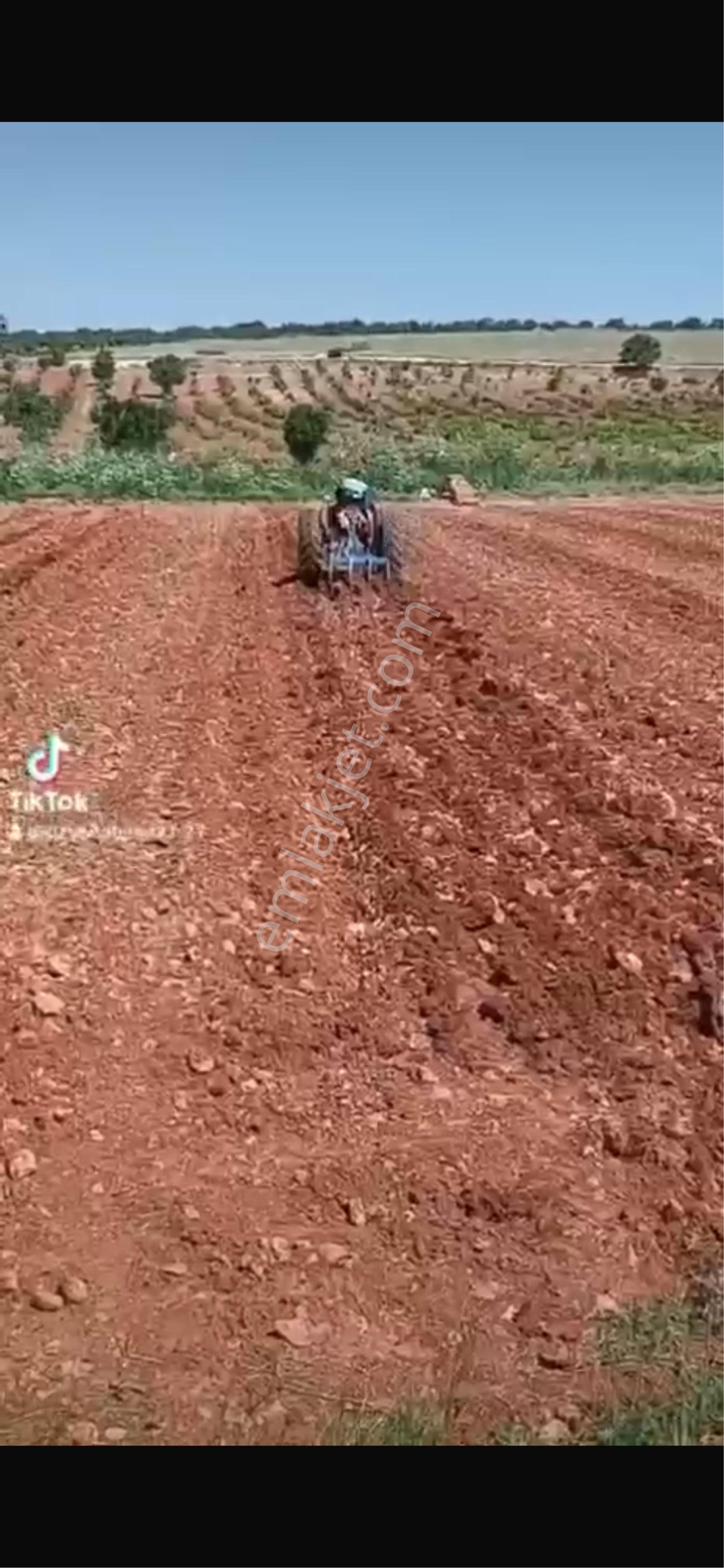 Şehitkamil Suboğaz Da 22.030 Metre Elk Başında Tek Tapu Yatırımlık Bağ Evlik