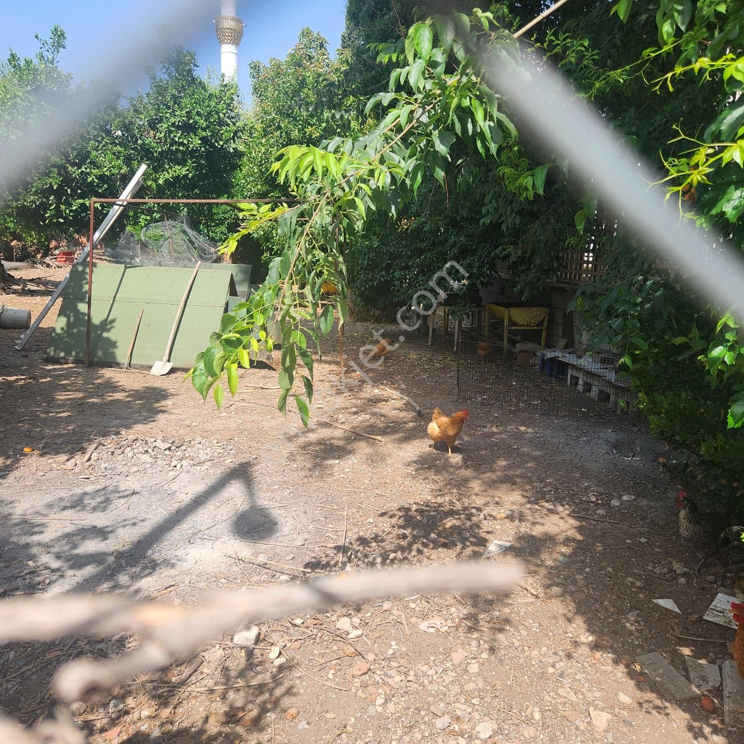 Kemer De Ticari Konut İmarlı 470 M2 Satılık Arsa - Görsel 5