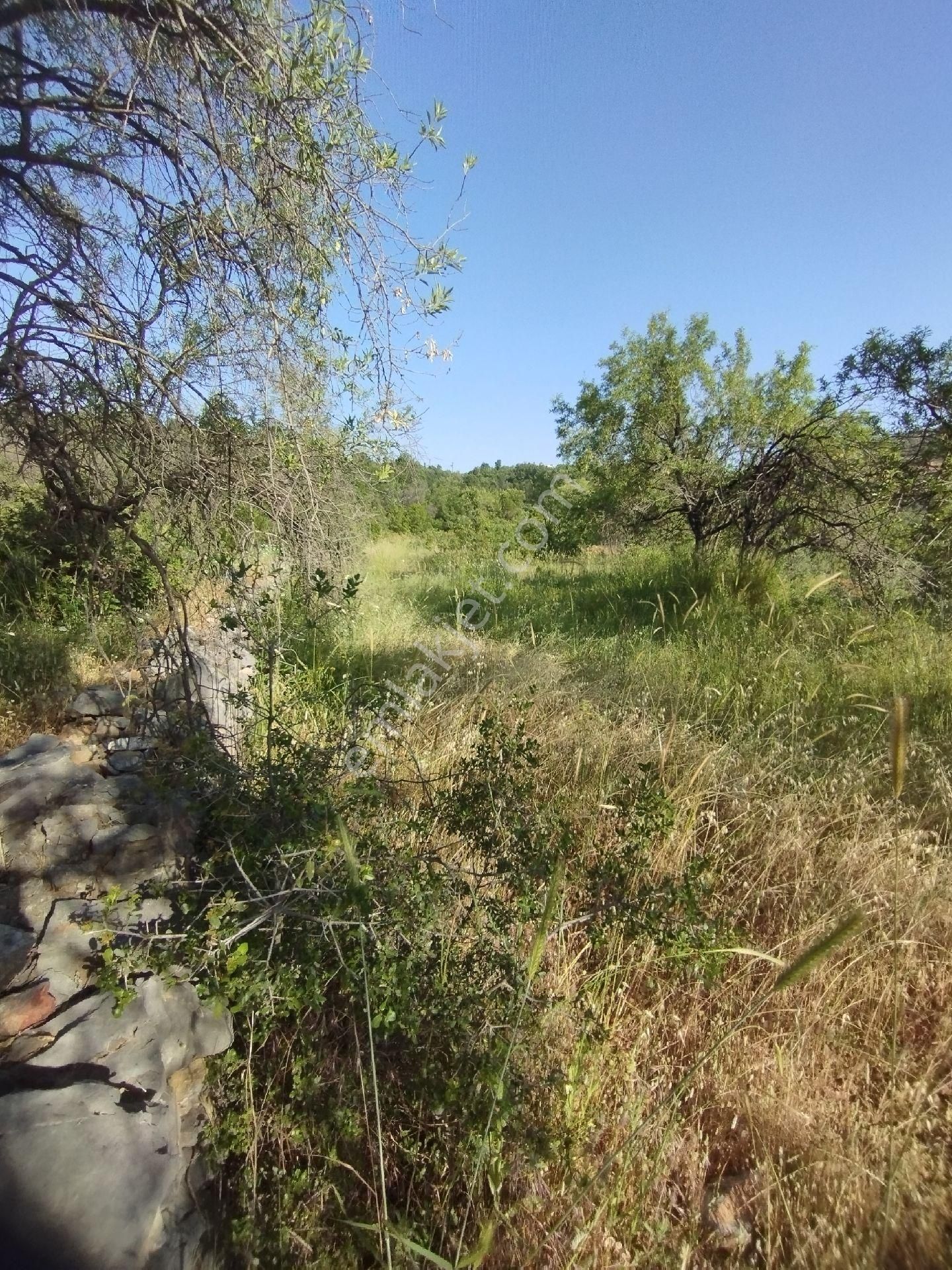 Alanya Gözübüyük Mah Satılık Tarla