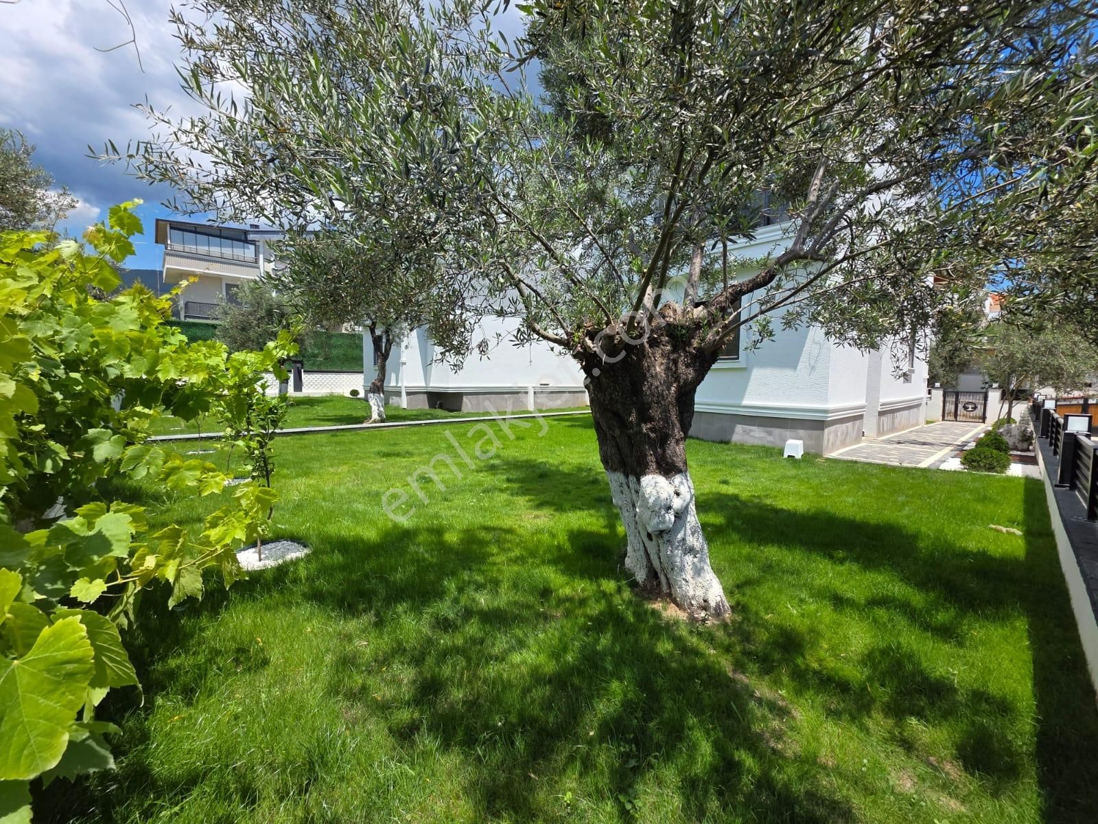 Irmaksudan Avcılar Da Deniz Ve Doğa Manzaralı 5+1 Villa - Görsel 19