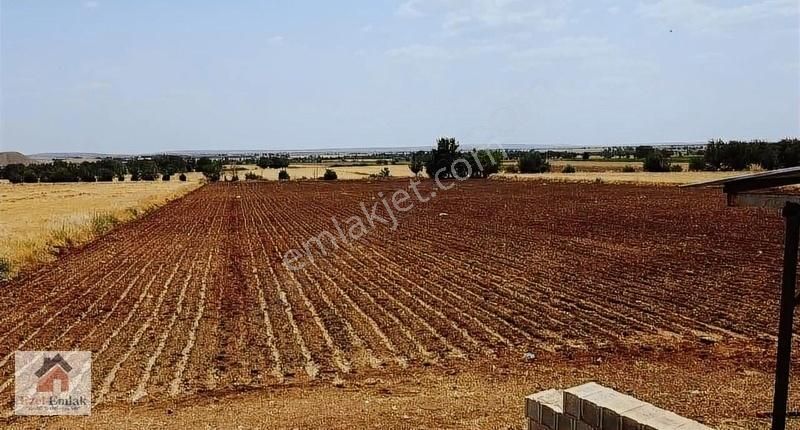 Ezel Den Oğuzelli Gündoğan Mhl Satılık Asfalt Üstü Arazi