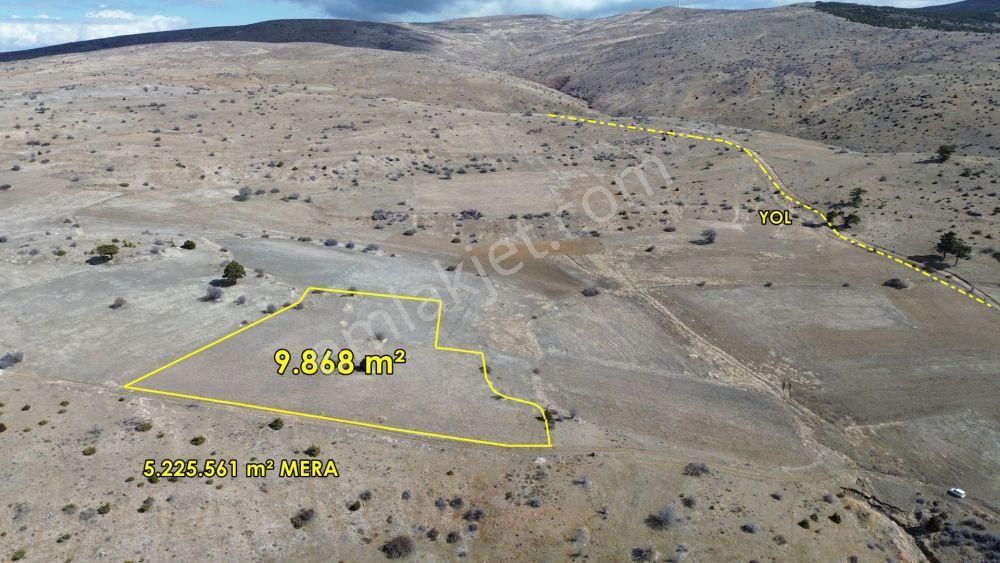 9.868 M² / Konya / Ilgın / Belekler / Tarla