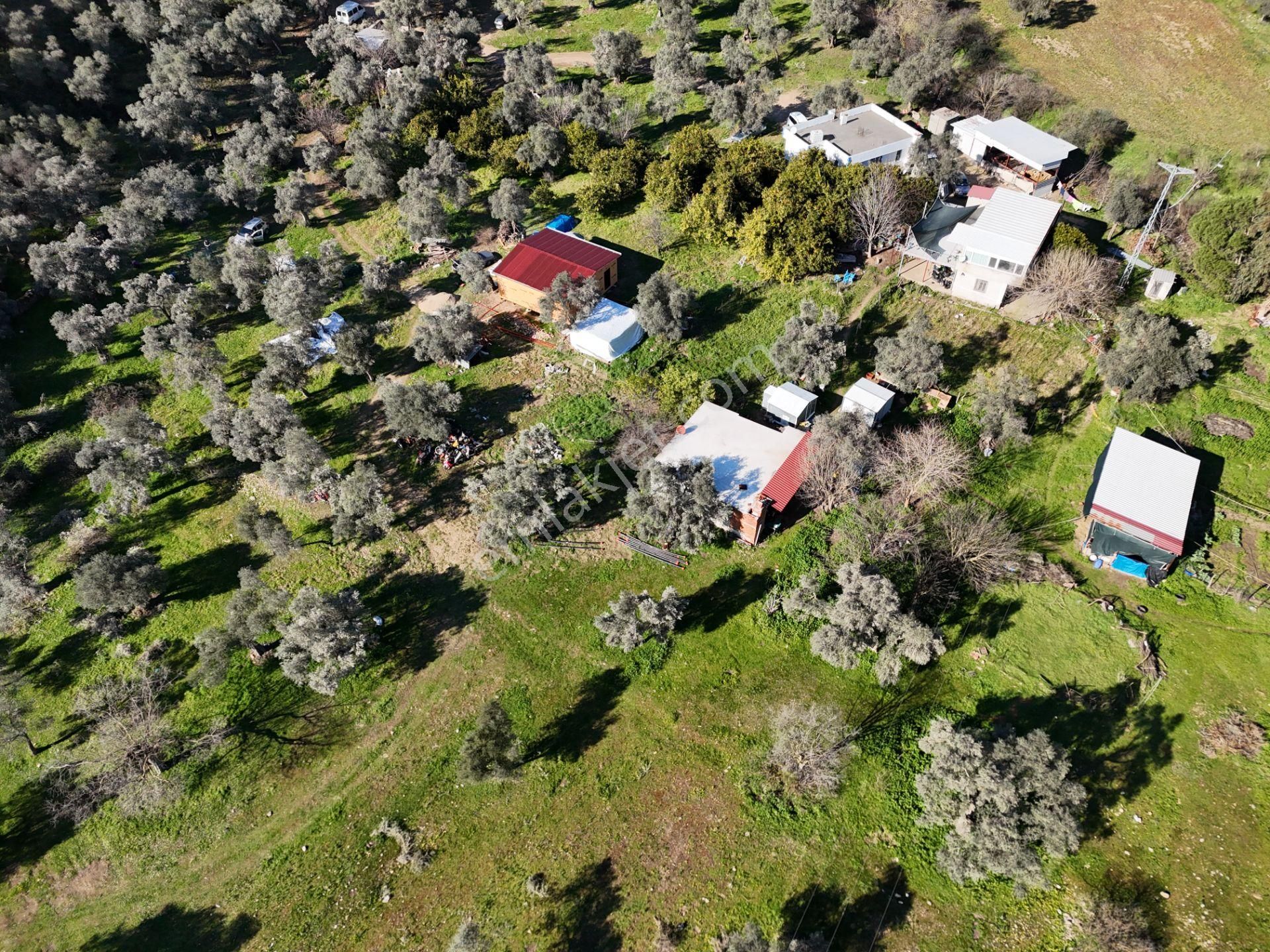 Milas Kandak Mahallesinde Doğa İle İç İçe Müstakil Bir Ev - Görsel 17