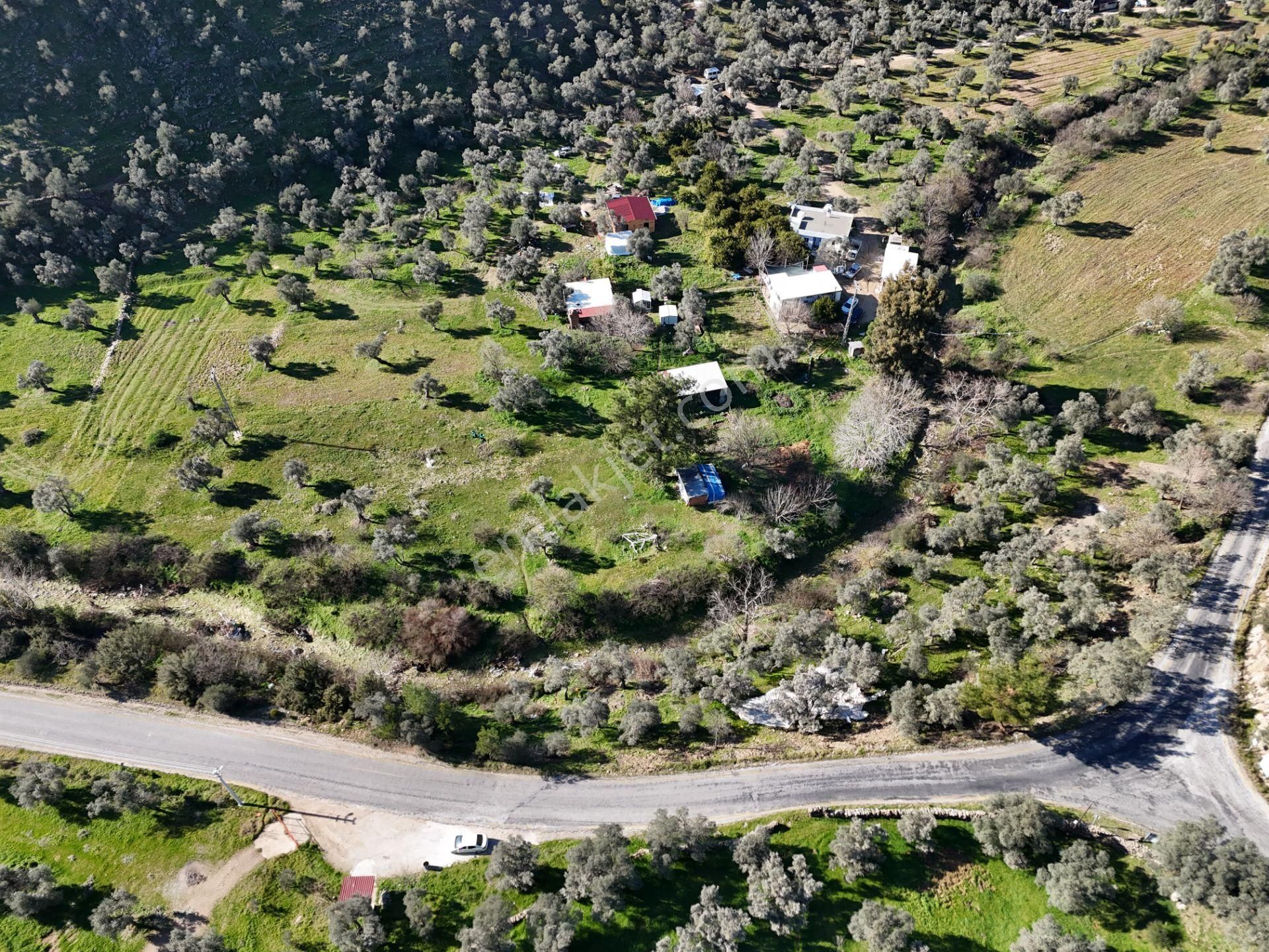 Milas Kandak Mahallesinde Doğa İle İç İçe Müstakil Bir Ev - Görsel 16