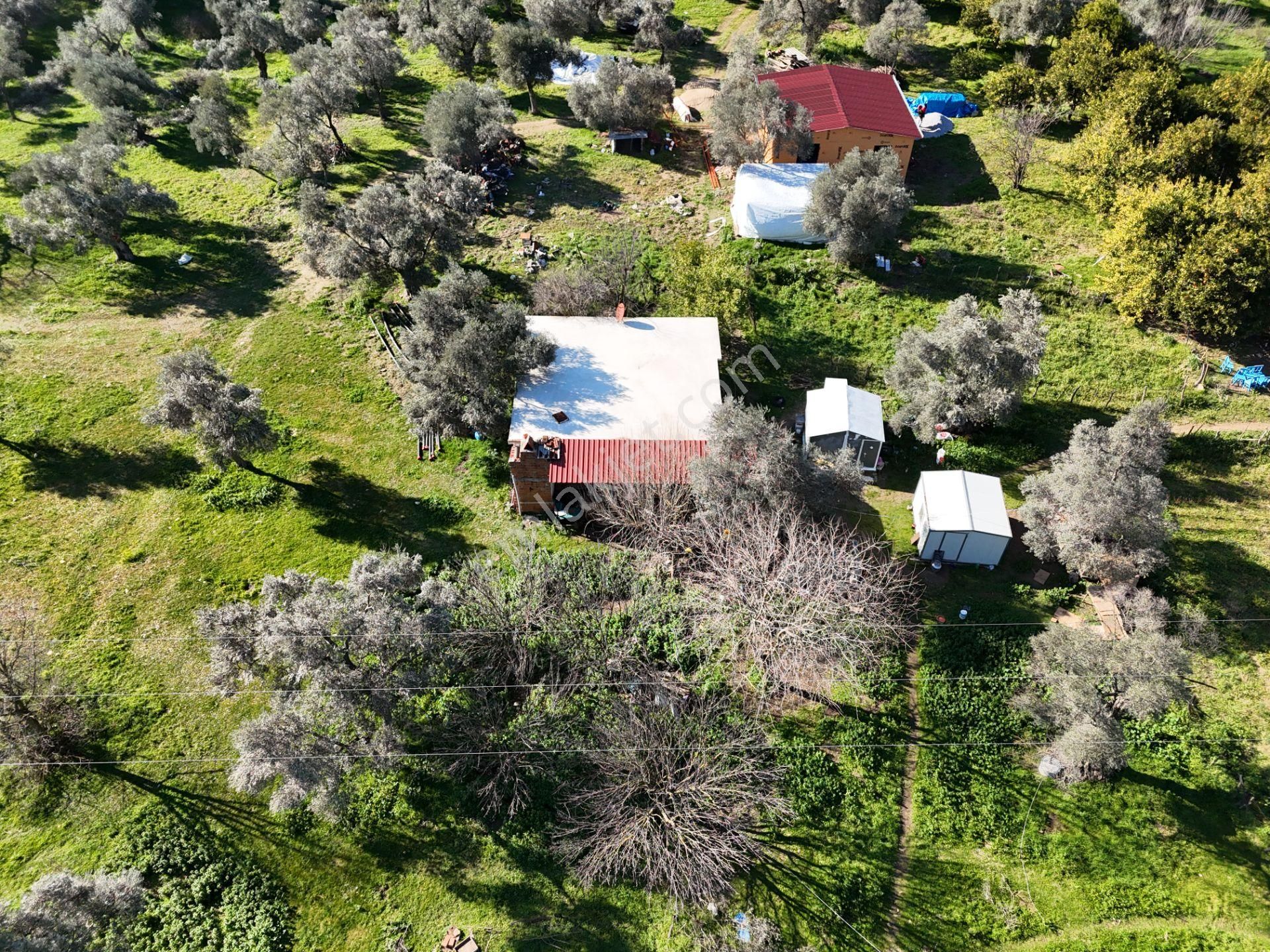 Milas Kandak Mahallesinde Doğa İle İç İçe Müstakil Bir Ev - Görsel 11