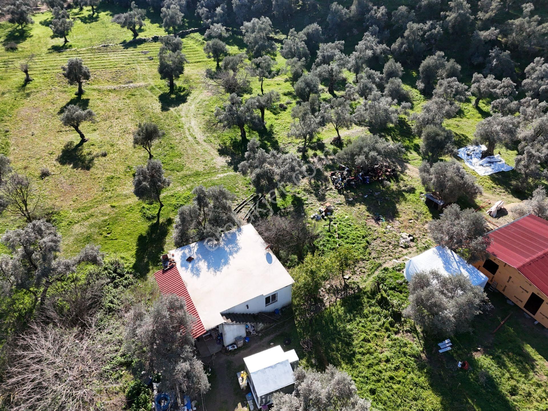Milas Kandak Mahallesinde Doğa İle İç İçe Müstakil Bir Ev - Görsel 19