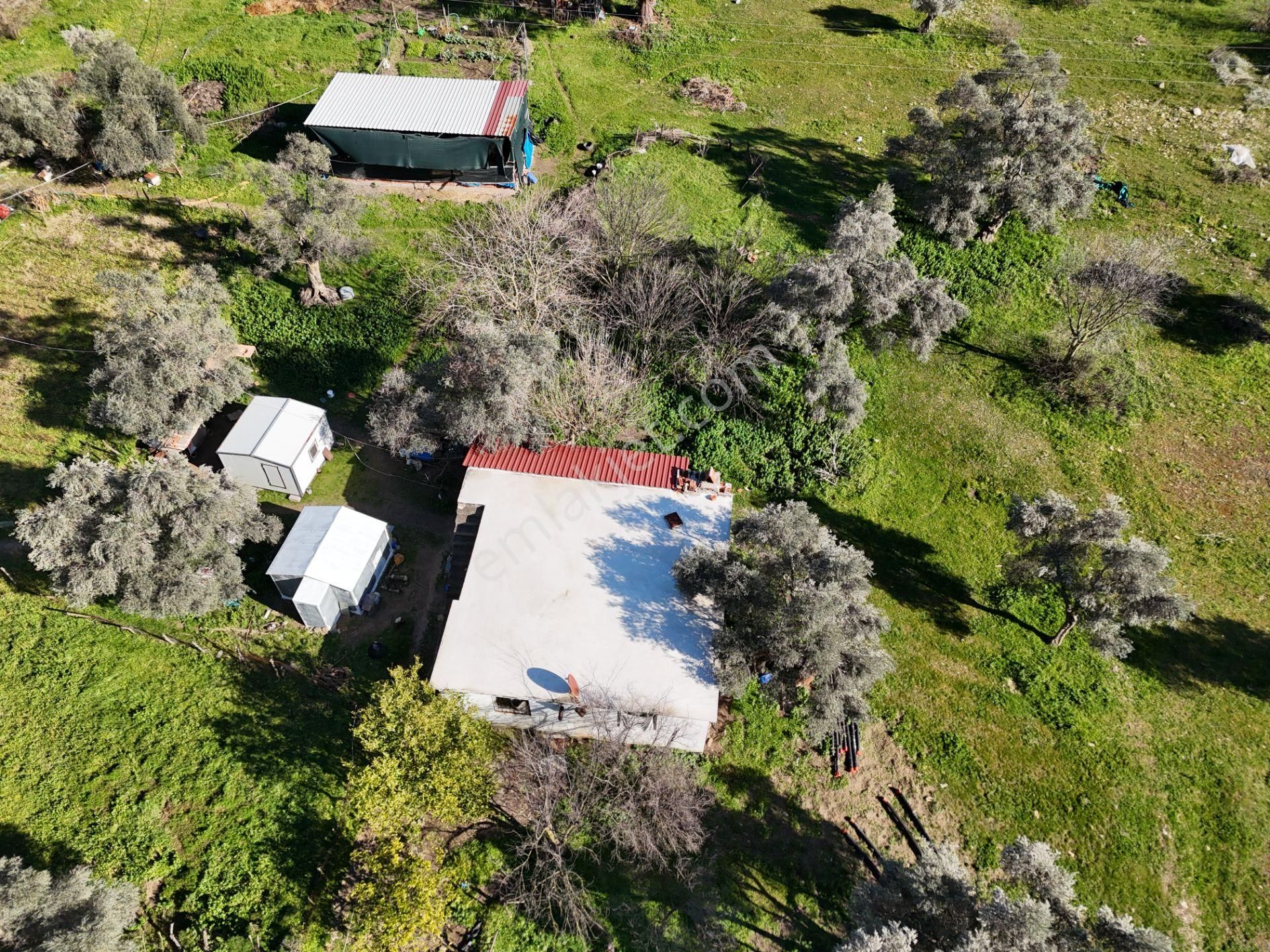 Milas Kandak Mahallesinde Doğa İle İç İçe Müstakil Bir Ev - Görsel 20