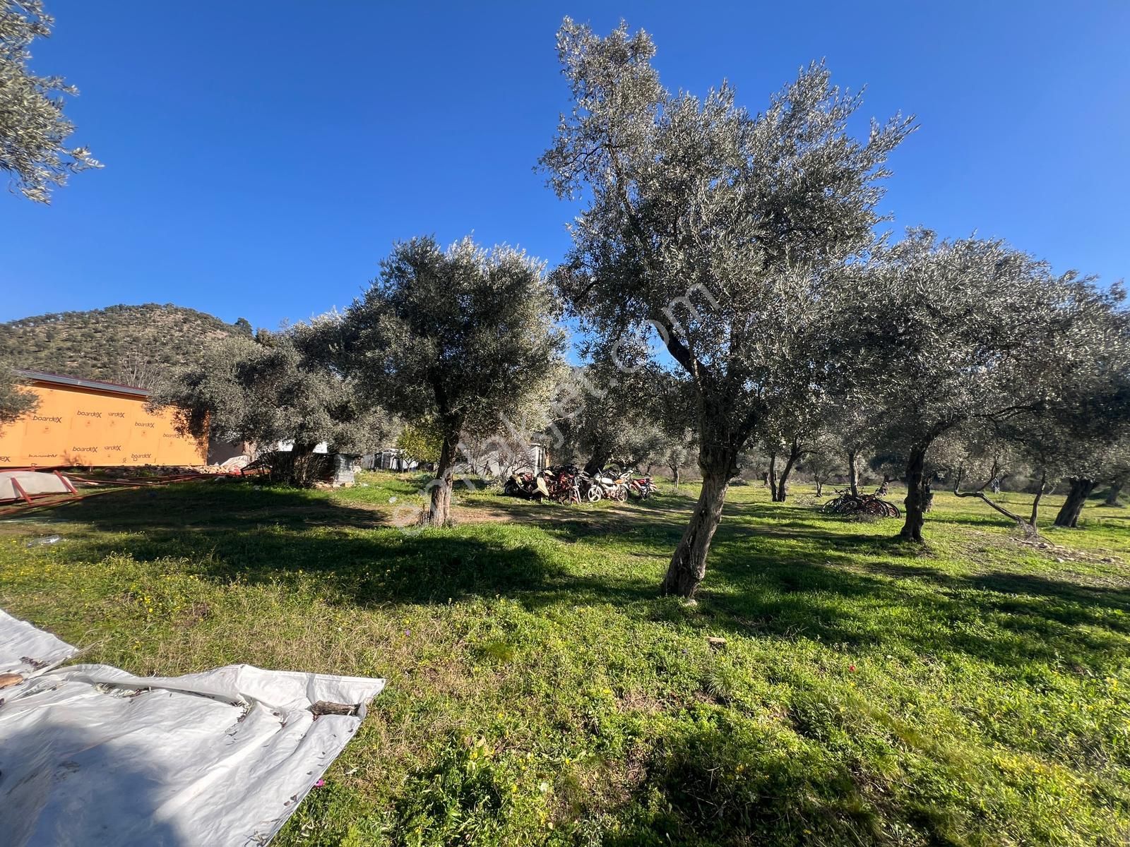 Milas Kandak Mahallesinde Doğa İle İç İçe Müstakil Bir Ev - Görsel 21