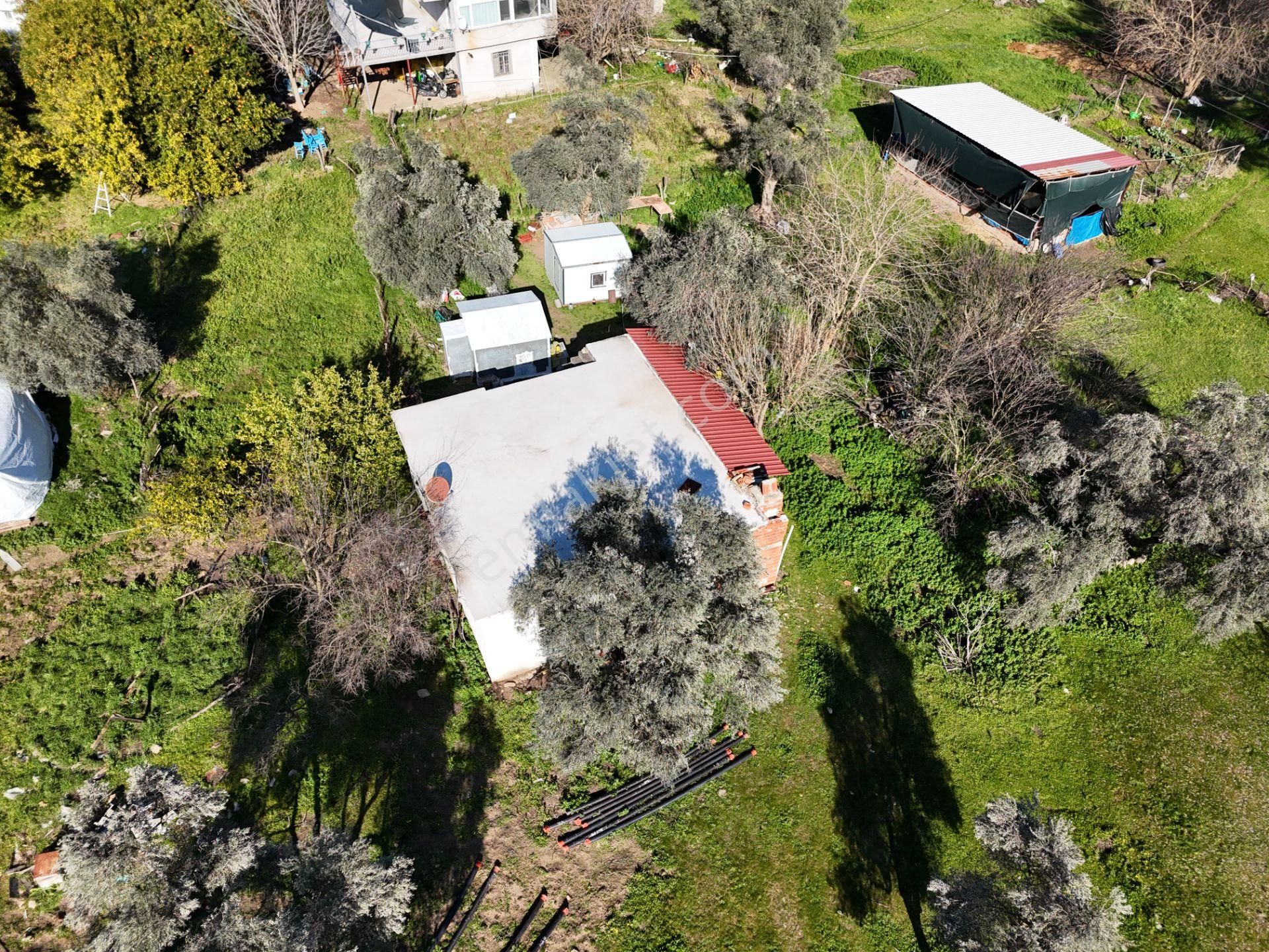 Milas Kandak Mahallesinde Doğa İle İç İçe Müstakil Bir Ev - Görsel 12