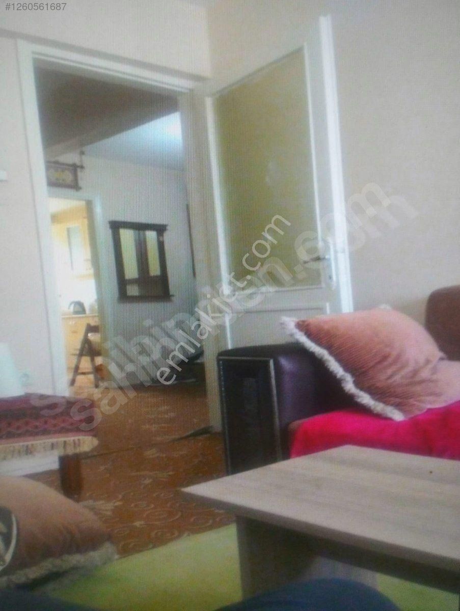 Zeytinburnu 58. Bulvar Ayyüzlüm Aptm No:35 Kat:3