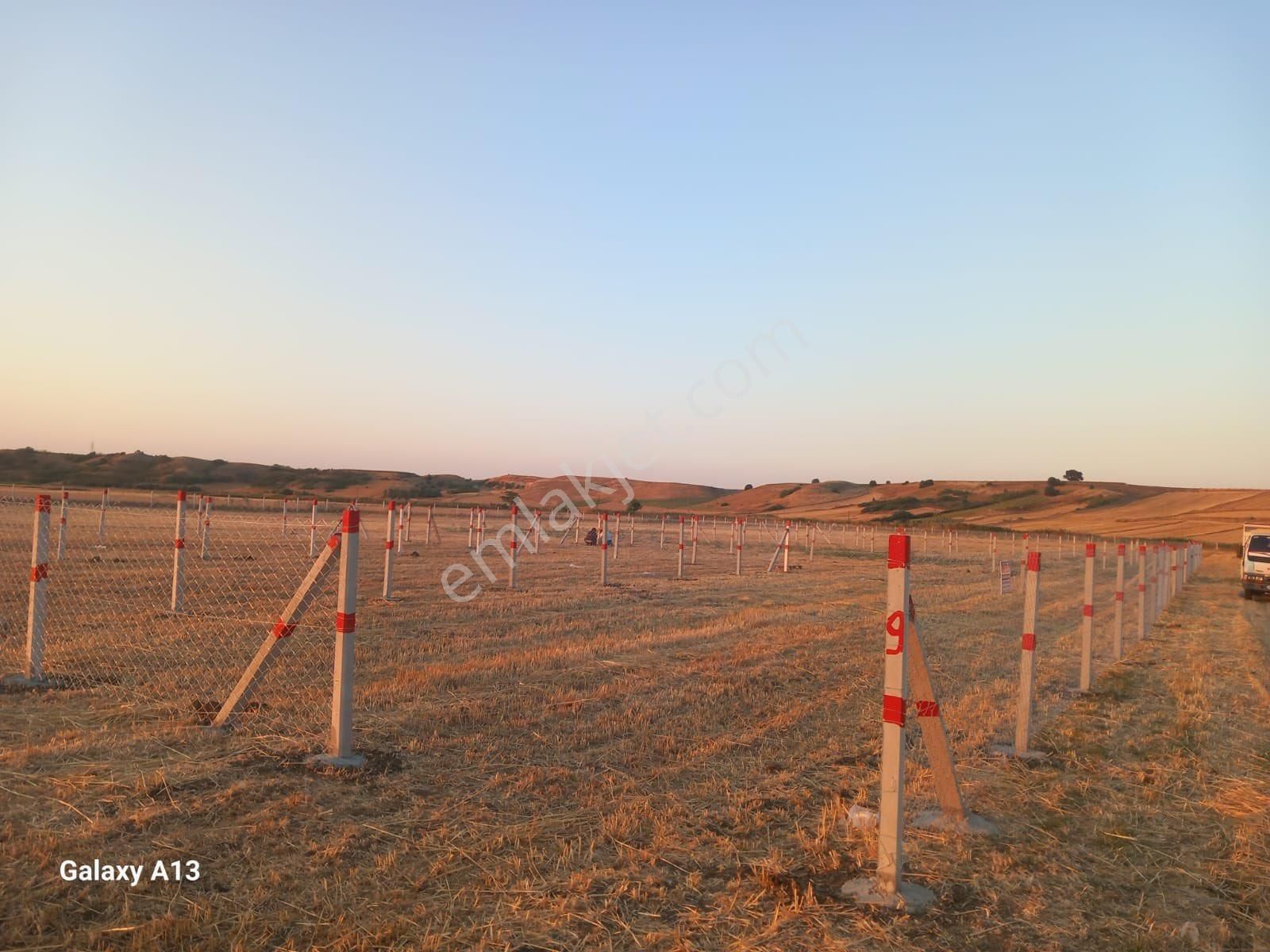 Kırklareli Babaeskide Acil Satılık Tarla