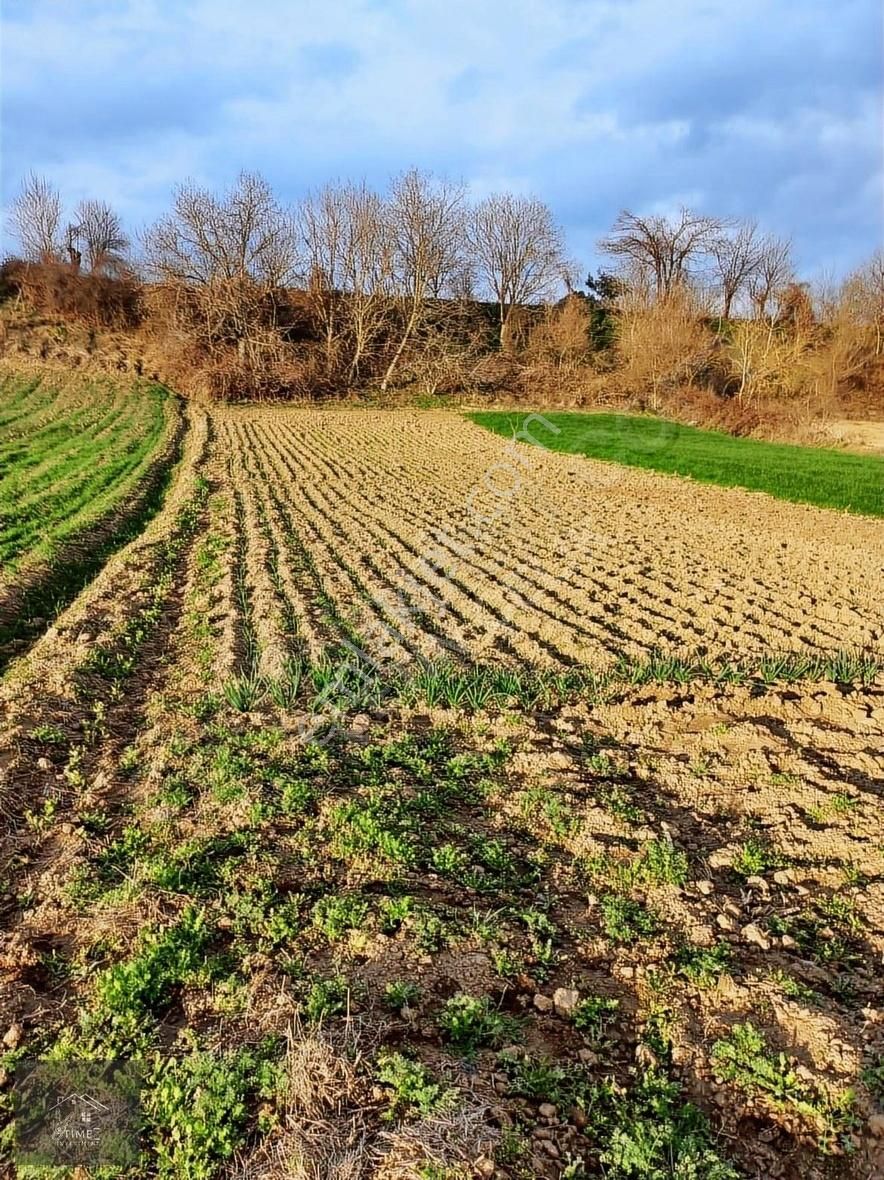 Çelik'ten Mustafakemalpaşa Behram Da 1113 M2 Tek Tapu Tarla