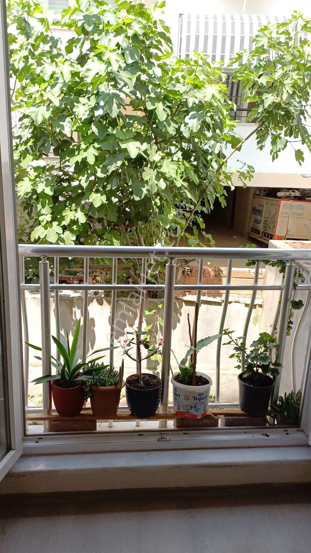 Cumhuriyet Mahallesi 20'lik Cadde Arkası Daire - Görsel 6