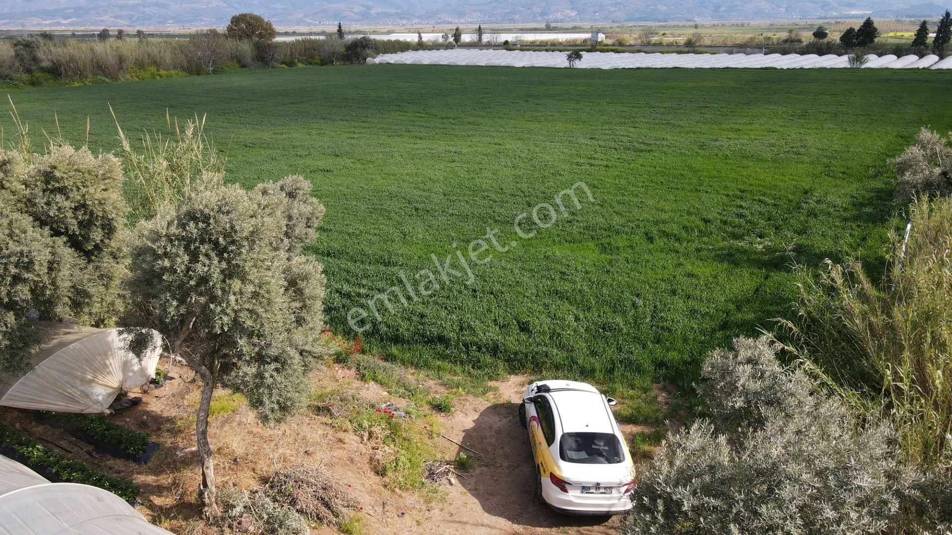 Köşk Yavuzköy Tarım Ticari Alanı İçin Uygun 18 Dönüm Bahçe - Görsel 7