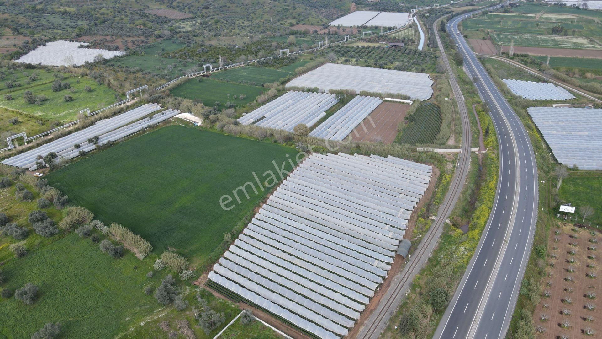 Köşk Yavuzköy Tarım Ticari Alanı İçin Uygun 18 Dönüm Bahçe - Görsel 20