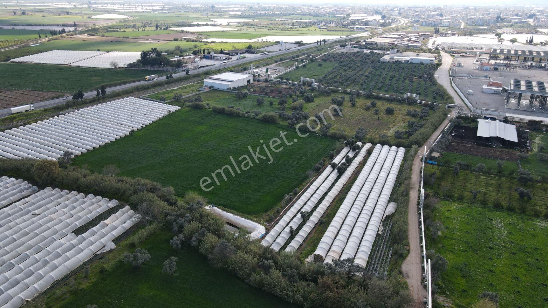 Köşk Yavuzköy Tarım Ticari Alanı İçin Uygun 18 Dönüm Bahçe - Görsel 14