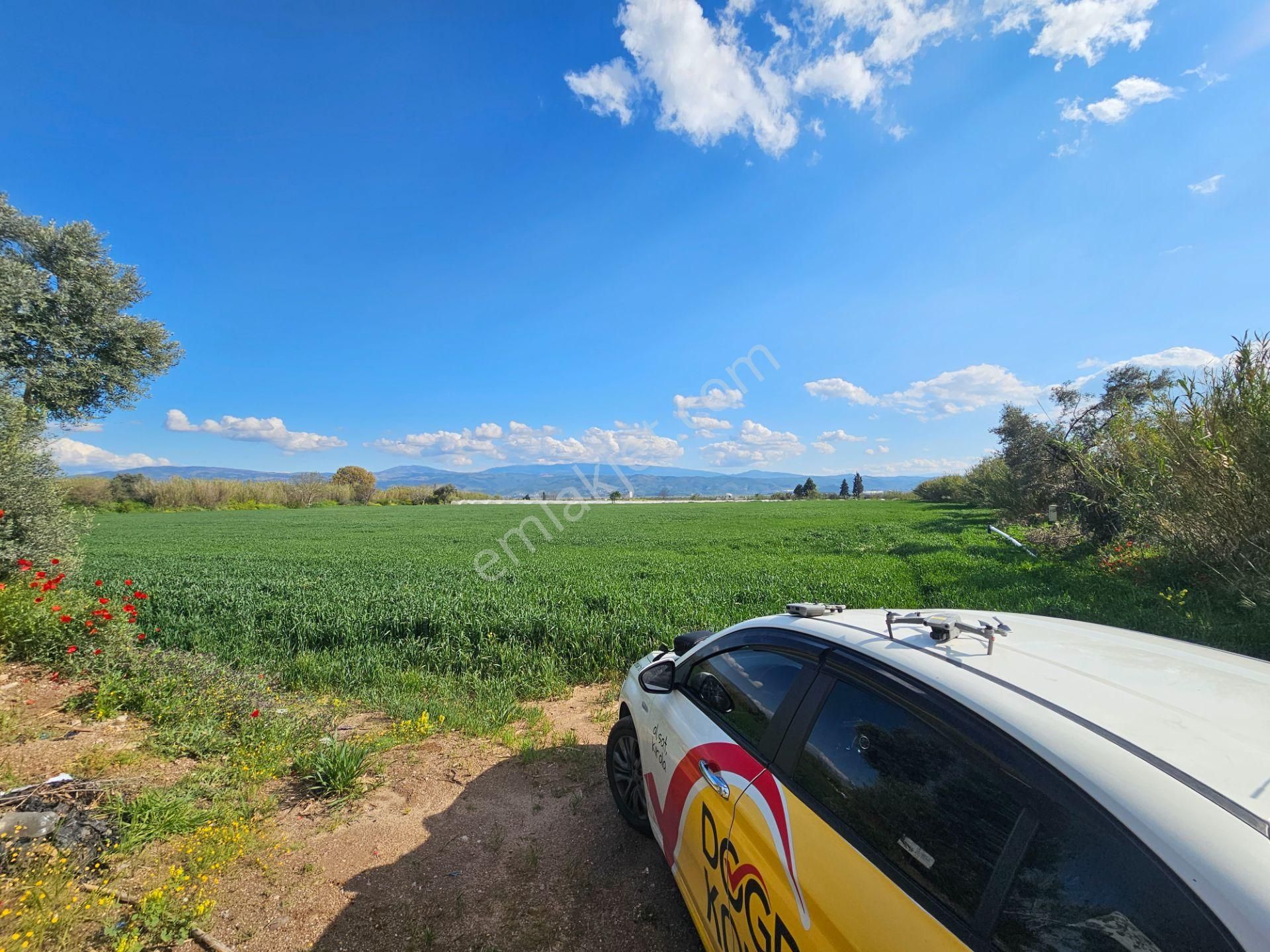 Köşk Yavuzköy Tarım Ticari Alanı İçin Uygun 18 Dönüm Bahçe - Görsel 8