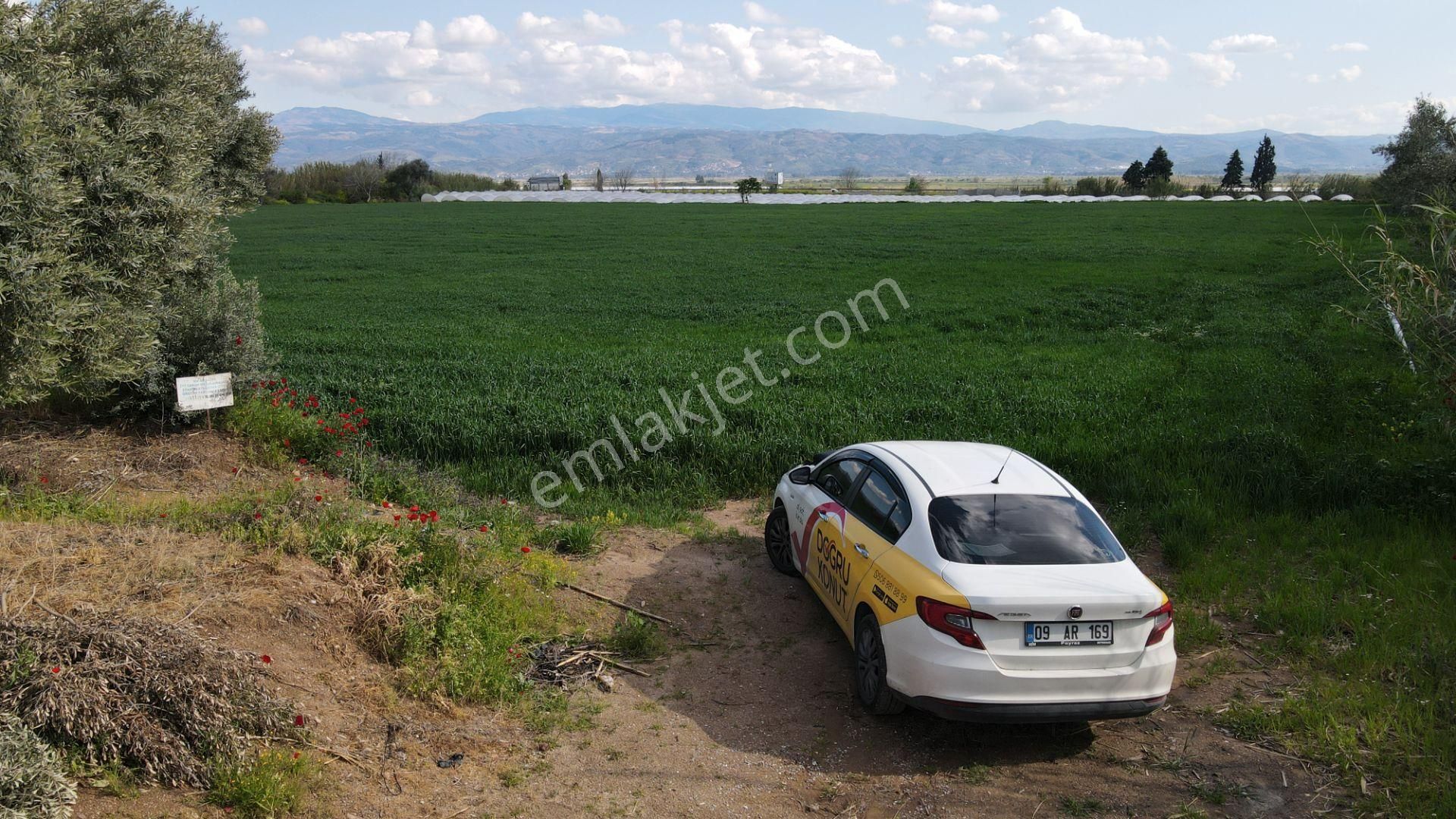 Köşk Yavuzköy Tarım Ticari Alanı İçin Uygun 18 Dönüm Bahçe - Görsel 6