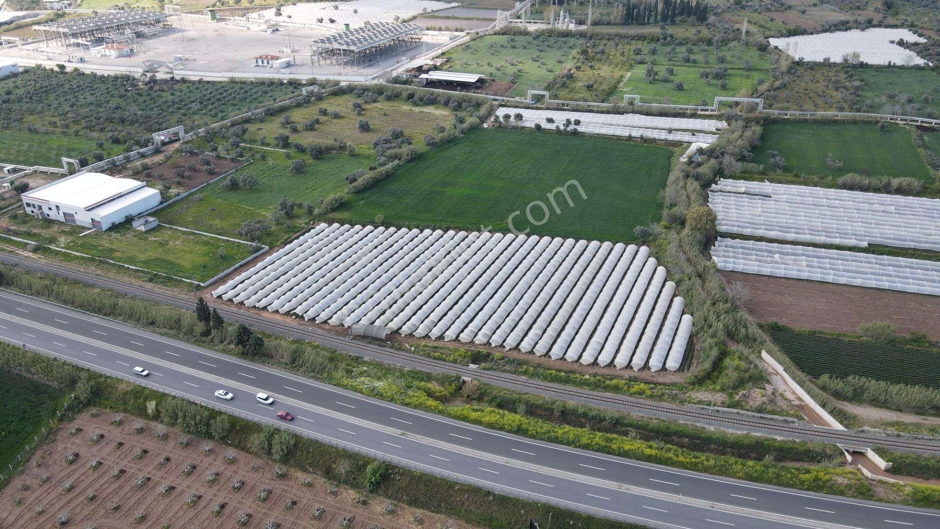 Köşk Yavuzköy Tarım Ticari Alanı İçin Uygun 18 Dönüm Bahçe - Görsel 17