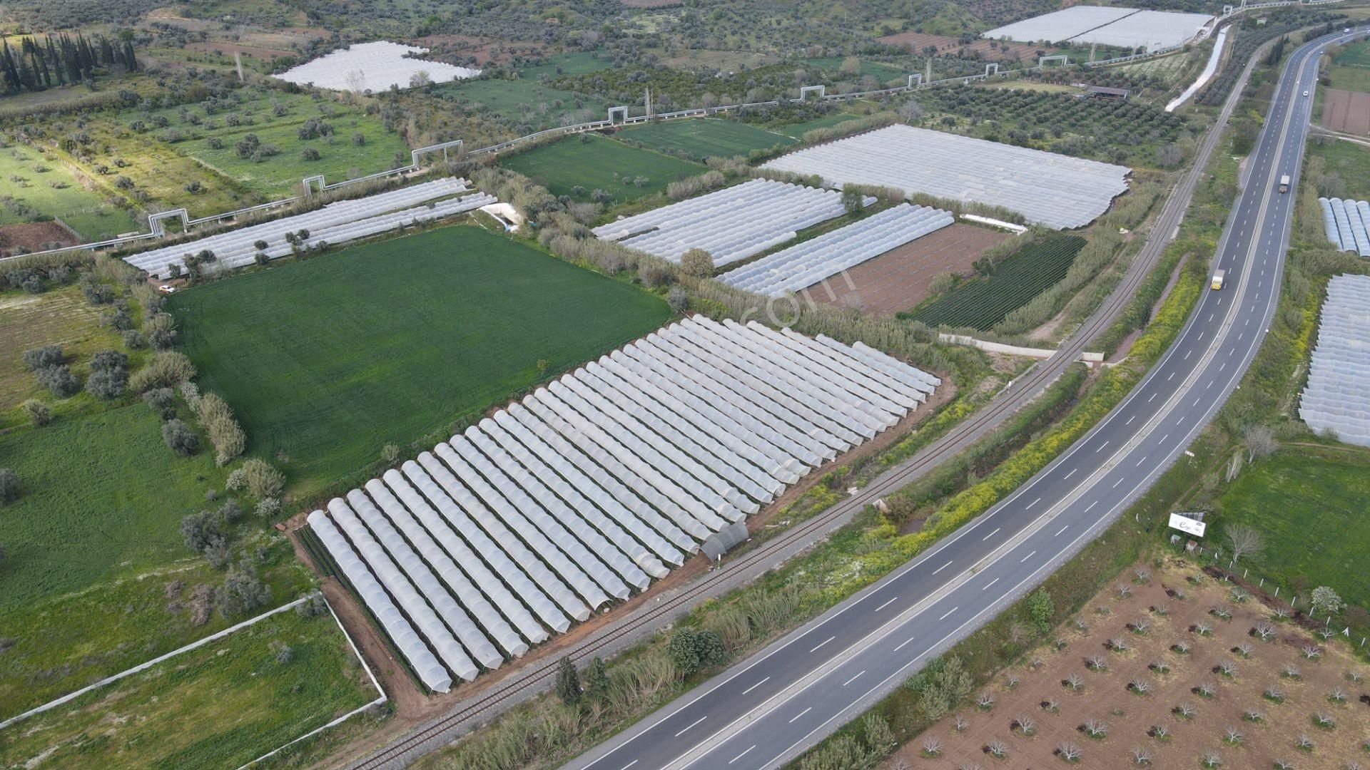 Köşk Yavuzköy Tarım Ticari Alanı İçin Uygun 18 Dönüm Bahçe - Görsel 19