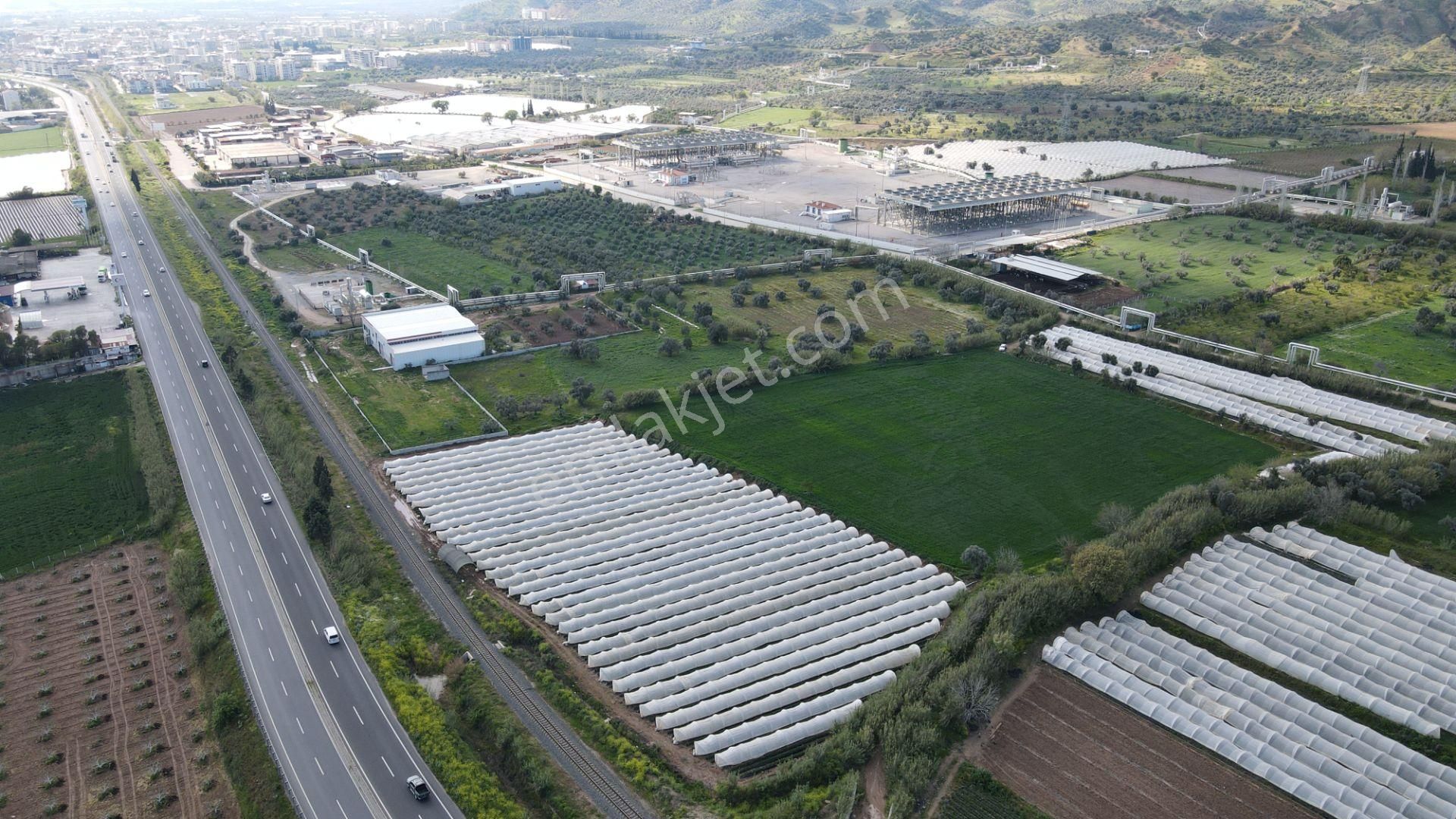 Köşk Yavuzköy Tarım Ticari Alanı İçin Uygun 18 Dönüm Bahçe - Görsel 16