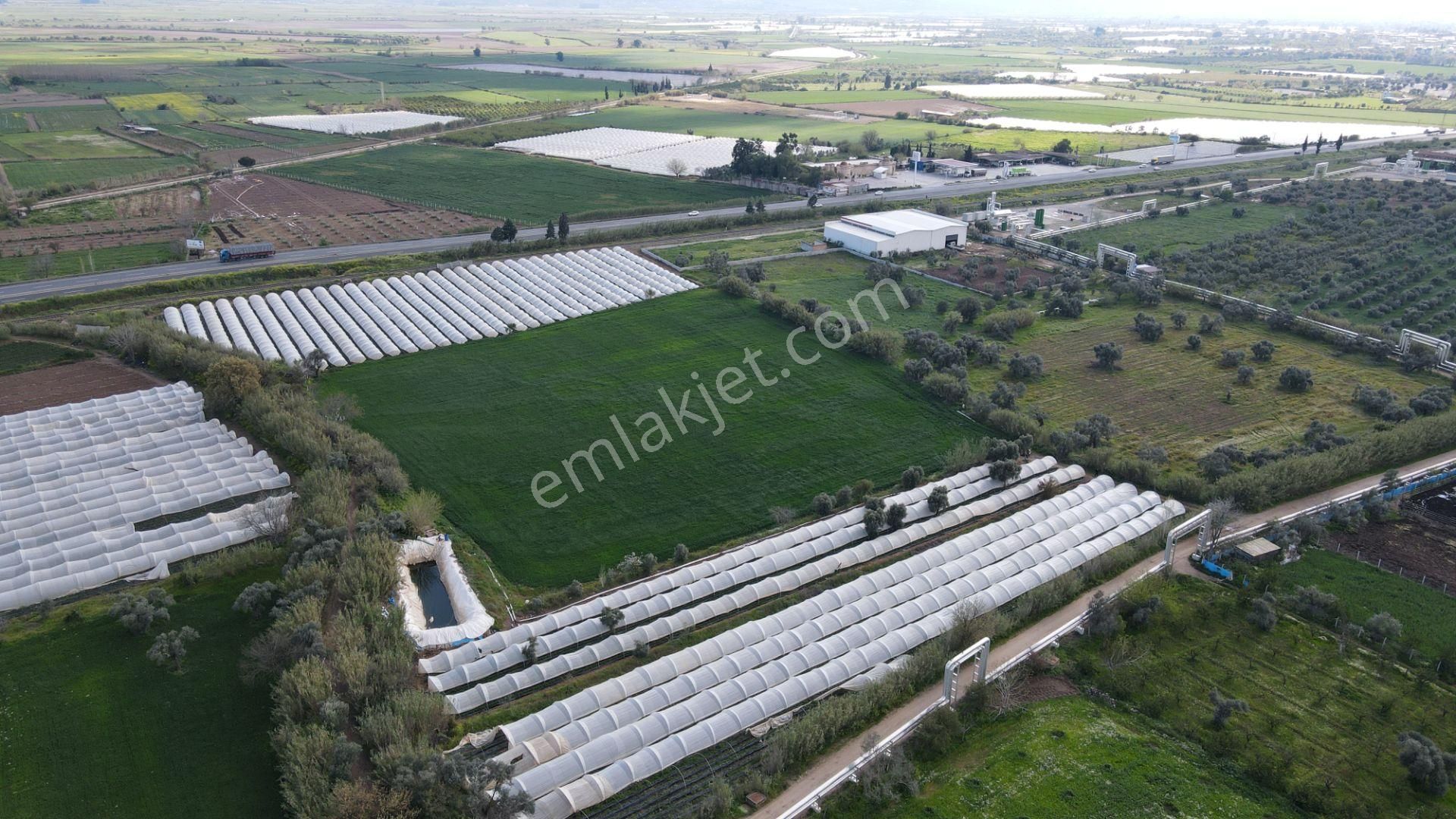 Köşk Yavuzköy Tarım Ticari Alanı İçin Uygun 18 Dönüm Bahçe - Görsel 13