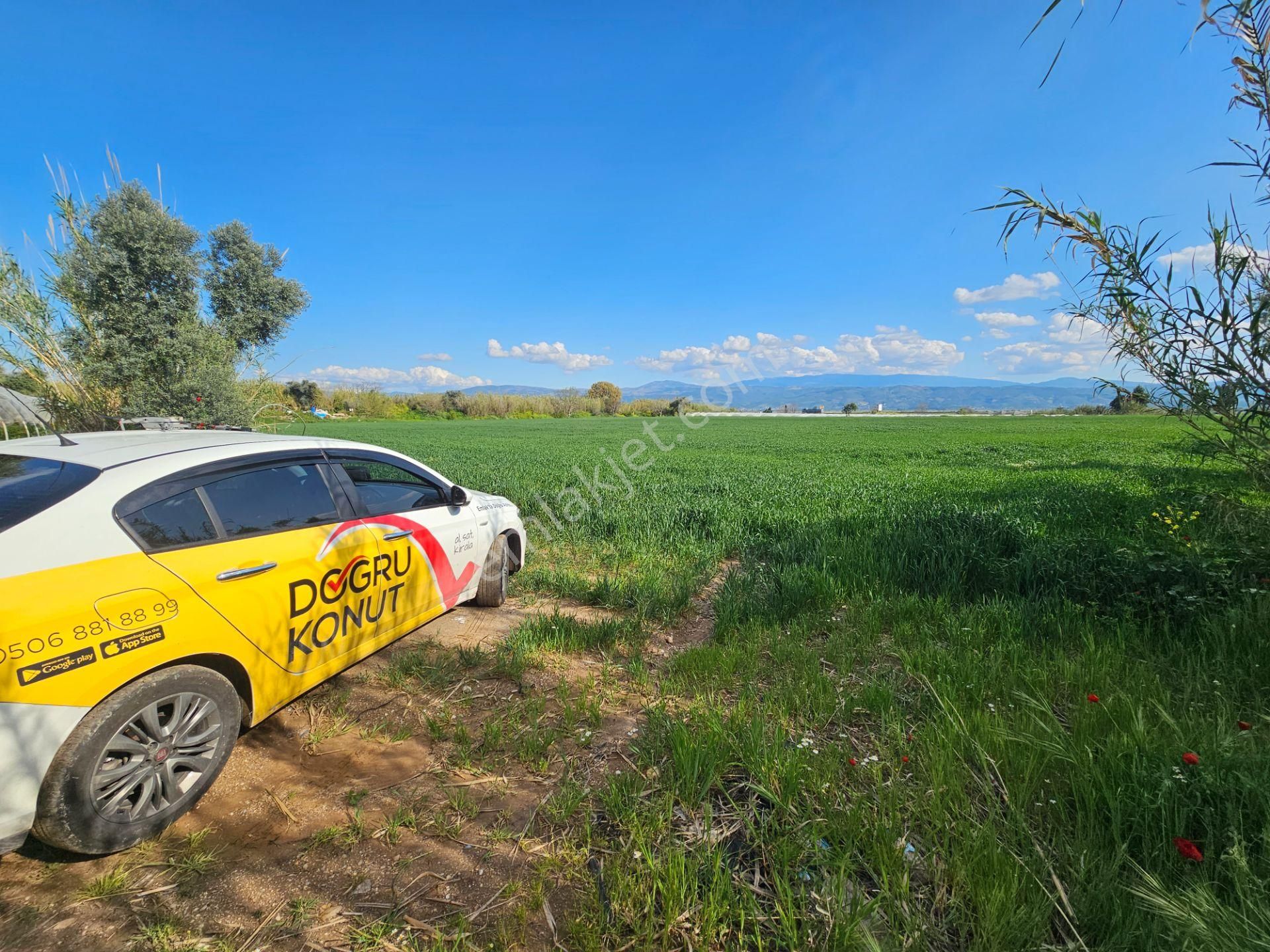 Köşk Yavuzköy Tarım Ticari Alanı İçin Uygun 18 Dönüm Bahçe - Görsel 10