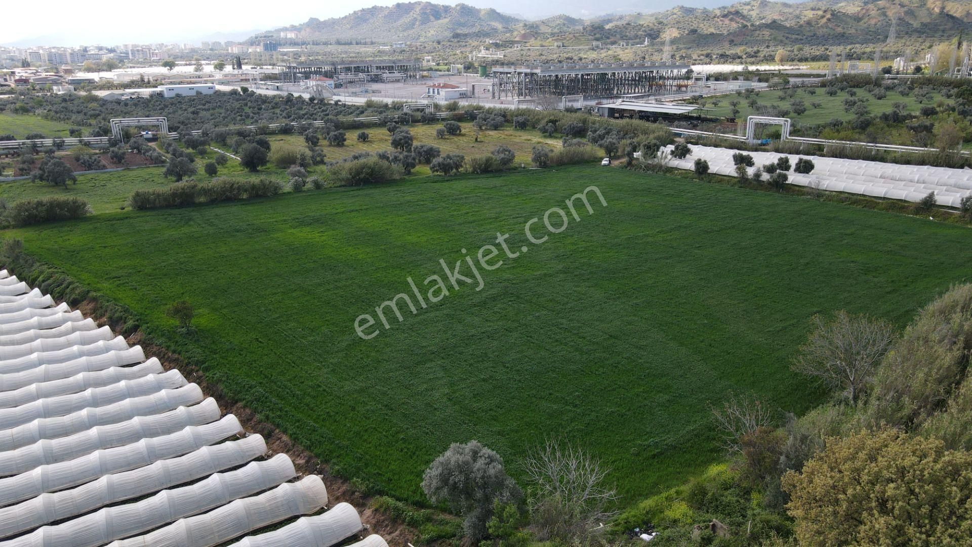 Köşk Yavuzköy Tarım Ticari Alanı İçin Uygun 18 Dönüm Bahçe - Görsel 2