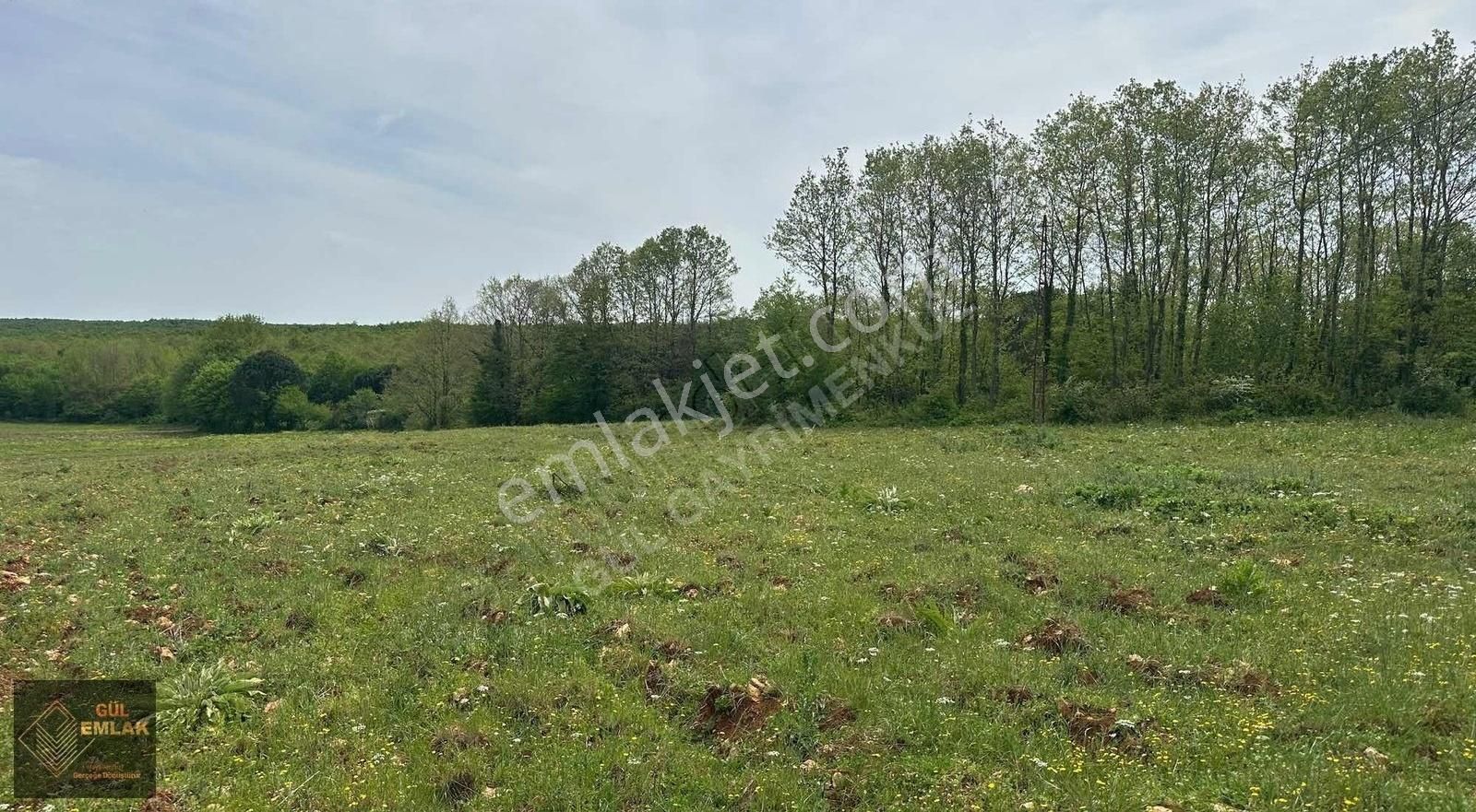 Silivri Gümüşpınar Muvafakatnameli Eşsiz Özel Satılık Tarla - Görsel 4