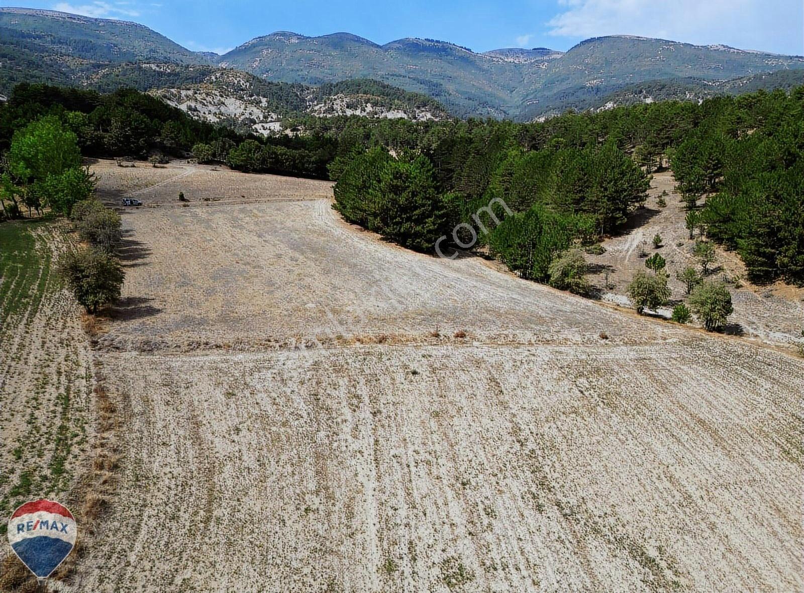 Mudurnu Kilözü Köyü’nde Orman Eteğinde, Yola Cepheli 6.501 M² Tarla - Görsel 12