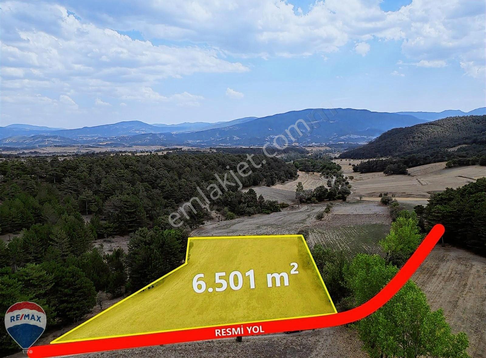 Mudurnu Kilözü Köyü’nde Orman Eteğinde, Yola Cepheli 6.501 M² Tarla - Görsel 17