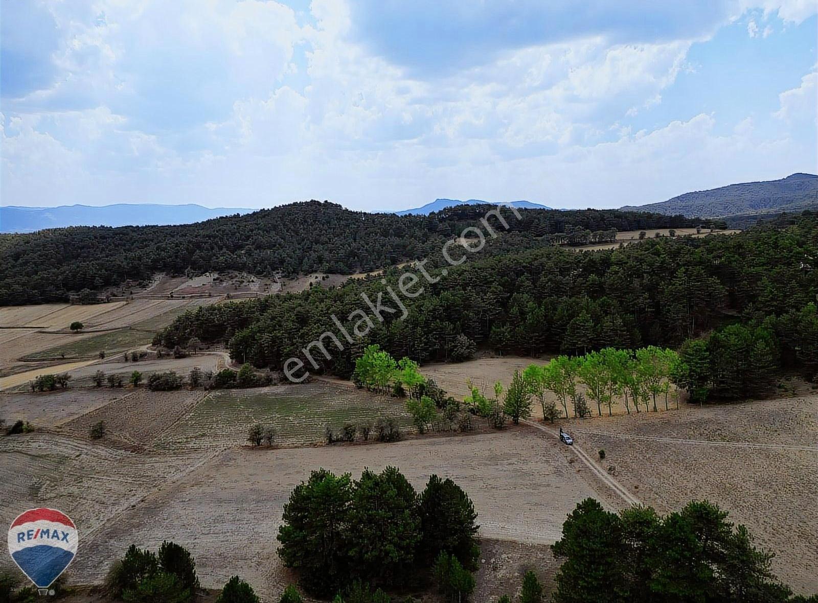 Mudurnu Kilözü Köyü’nde Orman Eteğinde, Yola Cepheli 6.501 M² Tarla - Görsel 21