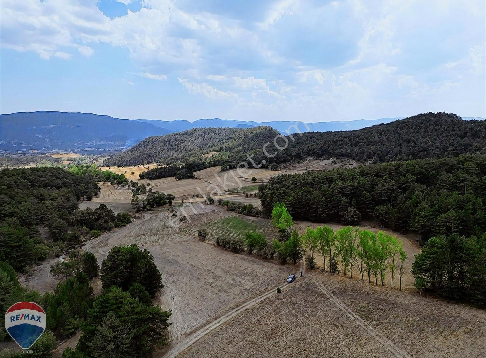 Mudurnu Kilözü Köyü’nde Orman Eteğinde, Yola Cepheli 6.501 M² Tarla - Görsel 19