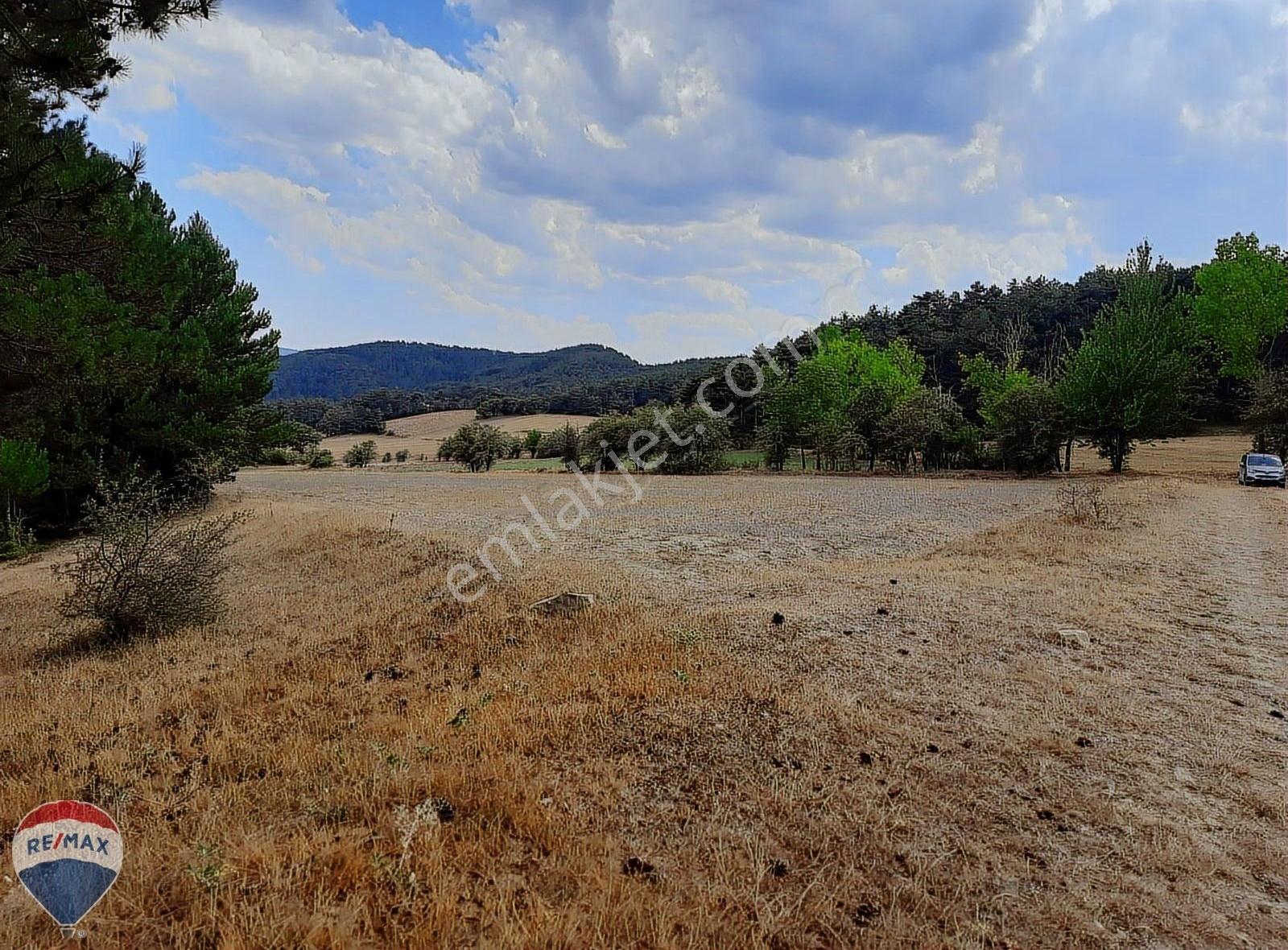 Mudurnu Kilözü Köyü’nde Orman Eteğinde, Yola Cepheli 6.501 M² Tarla - Görsel 11