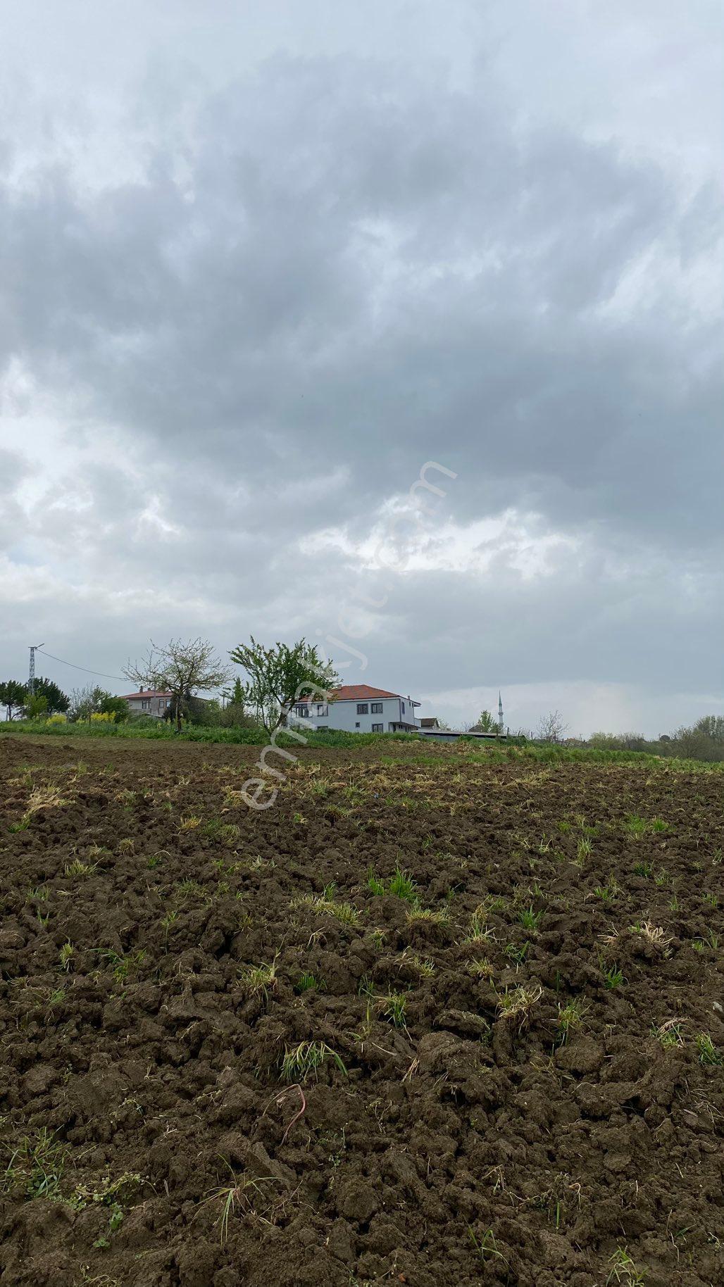 Araç Takaslı-sakarya Kaynarcada Köye Yakın İmar Sınırı Tarlam Satılıktır - Görsel 5