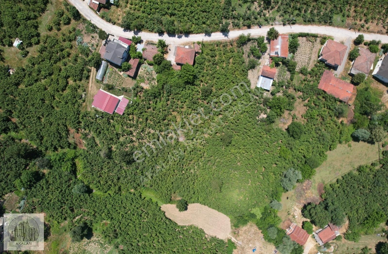 3 Ayrı Bitişik Tapulu Toplam 3.607 M2 Arsa + 2 Katlı Müstakil Ev - Görsel 20