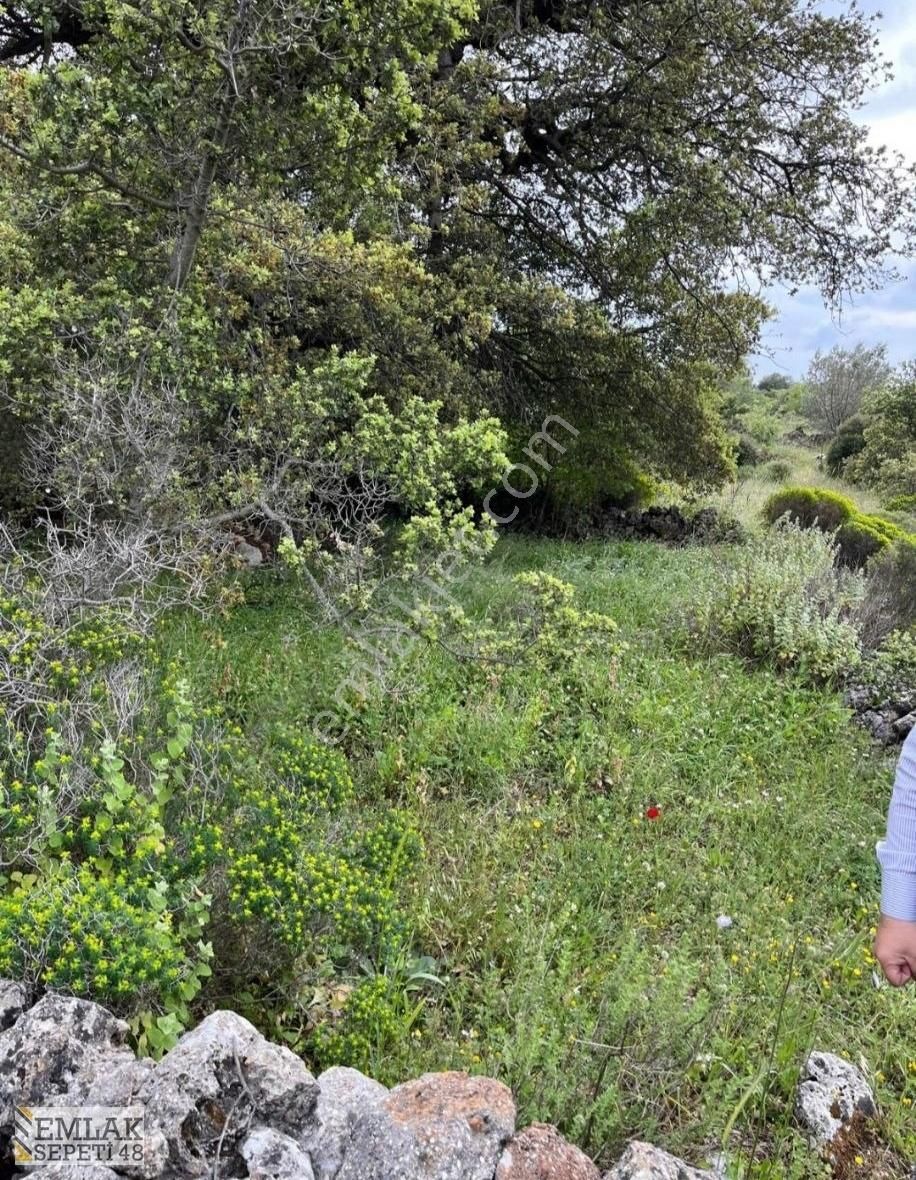 Marmaris Söğüt Köyünde Merkezde Satılık Arazi - Görsel 6