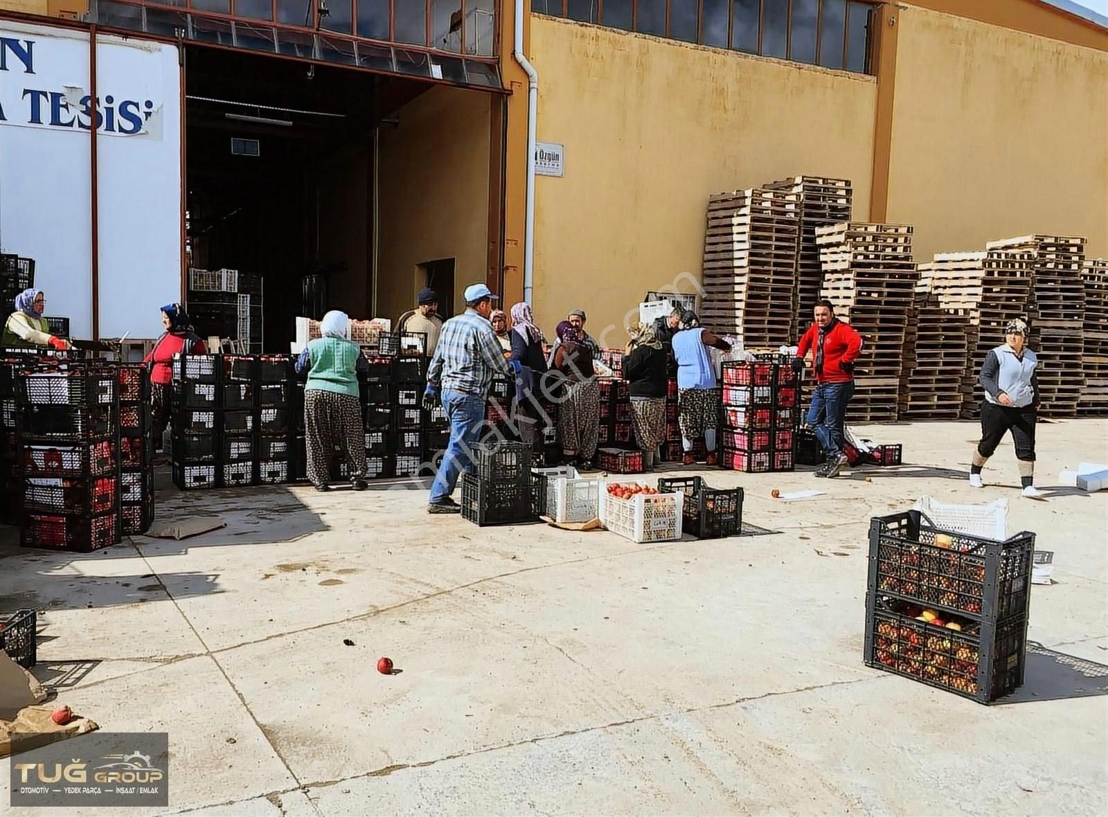 Tefenni'de 13 Dönüm Arazi İçinde Soğuk Hava Deposu - Görsel 7